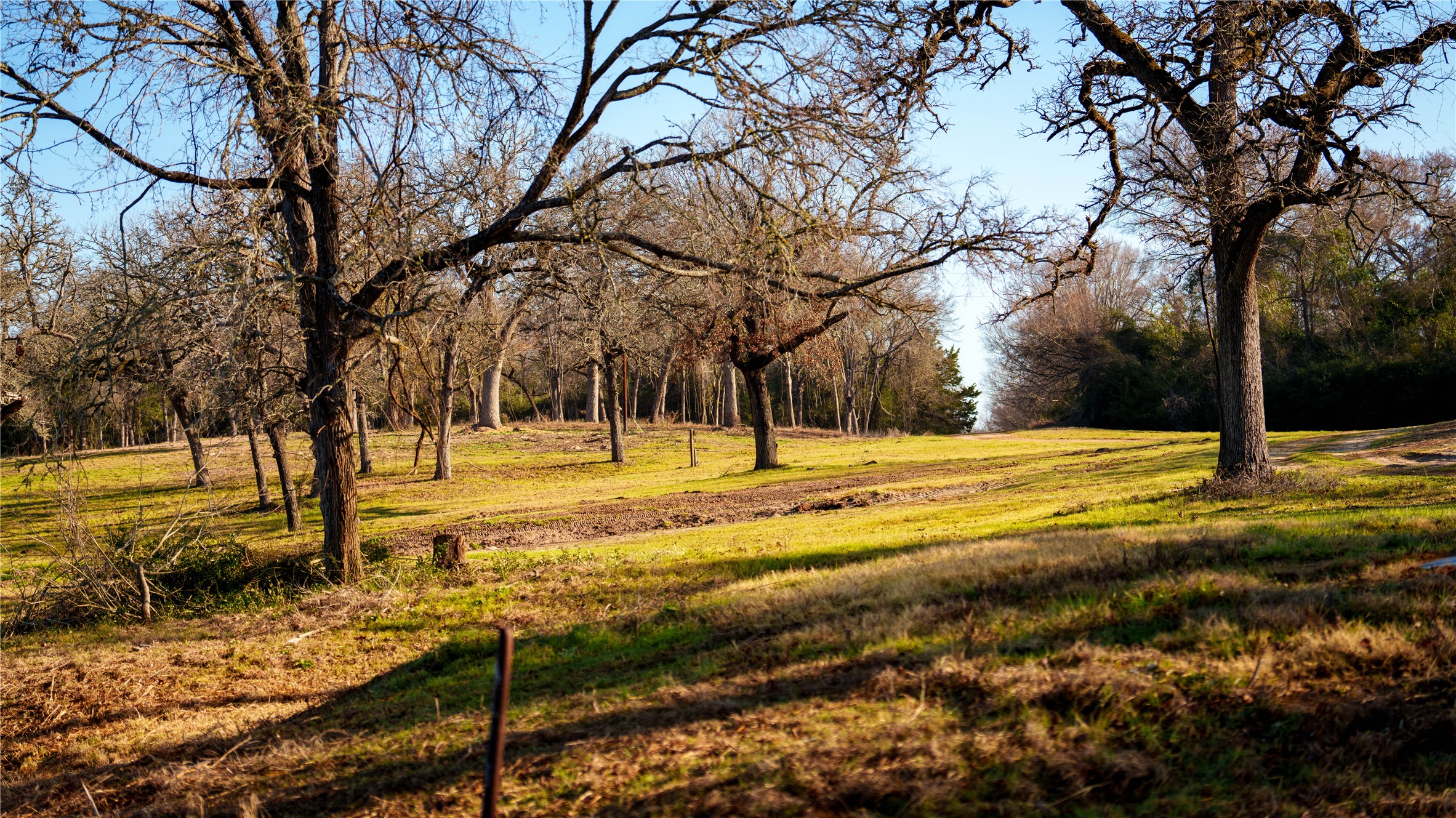 Tbd, +/-222 Ac Fm 3 Property Photo 16