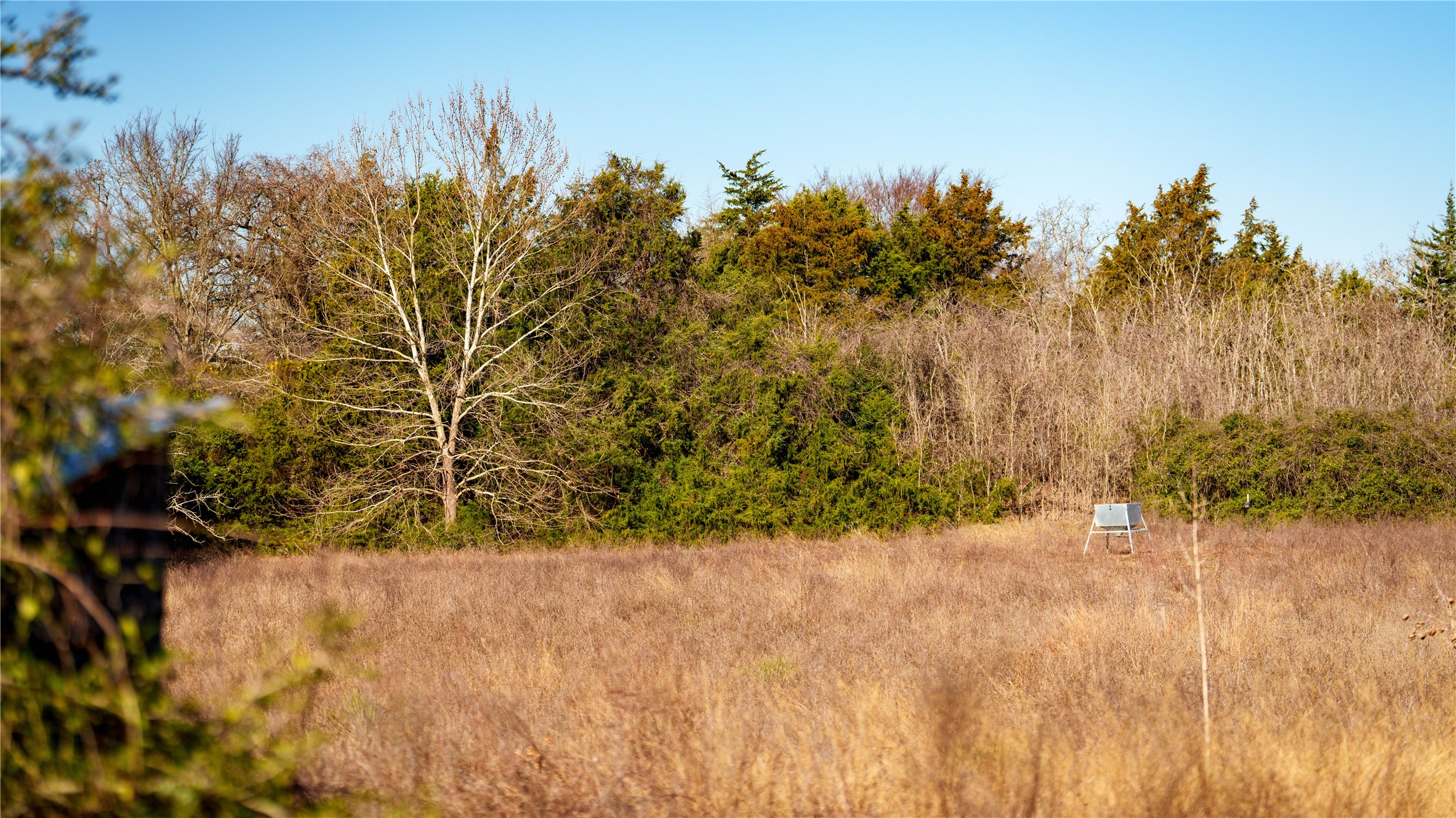 Tbd, +/-222 Ac Fm 3 Property Photo 30