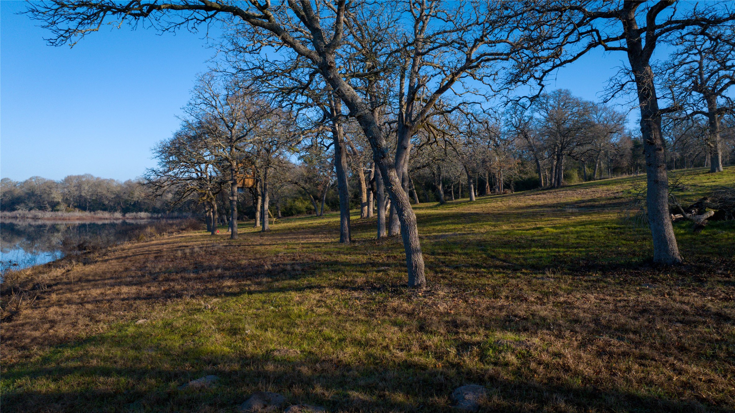 Tbd, +/-222 Ac Fm 3 Property Photo 32