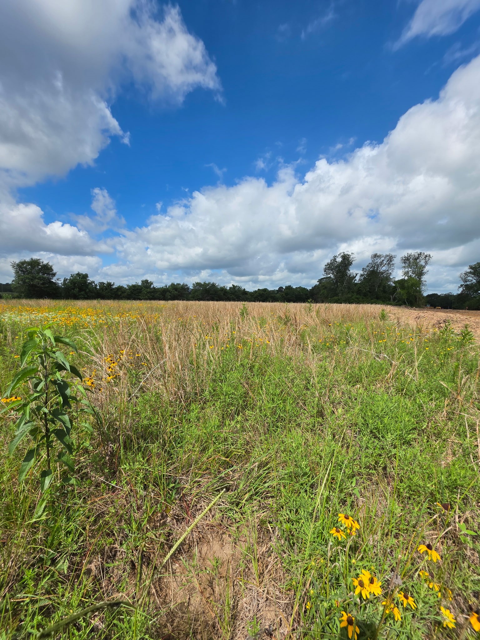Tbd Lot 2 County Road 201 Property Photo 1