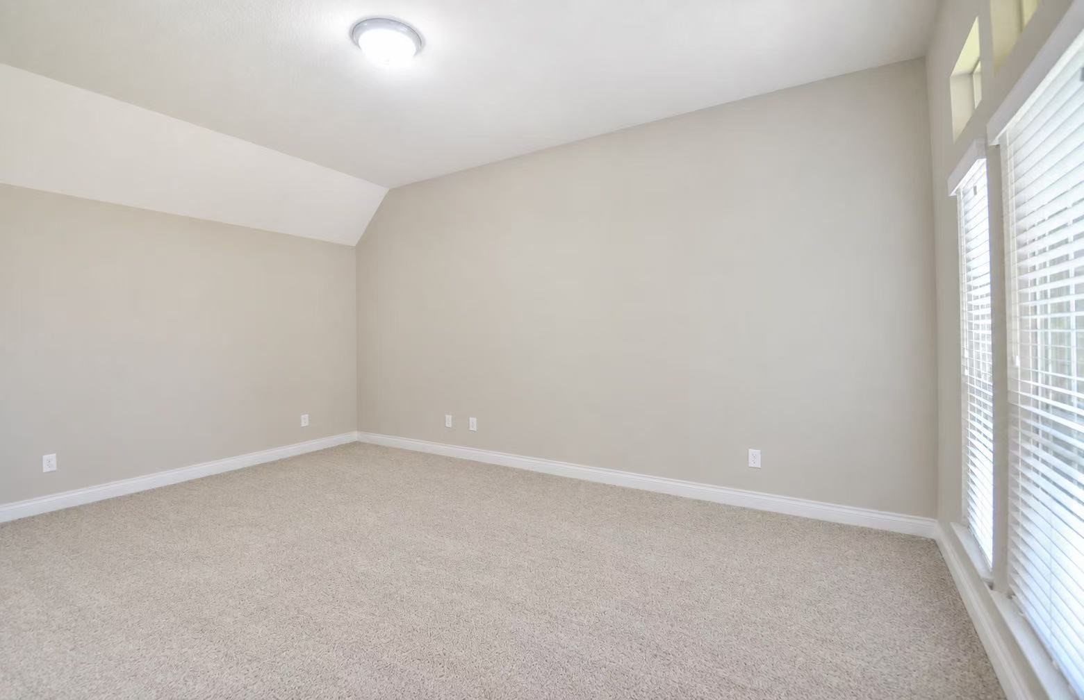 3351 Chandler Hollow Lane Property Photo 9