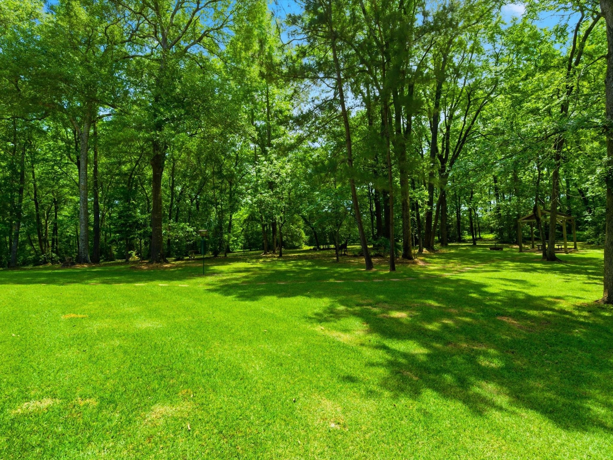 18181 Rabon Chapel Road Property Photo 35