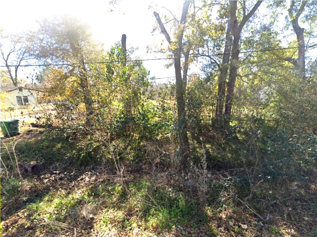 0 Terrell Street Property Photo 1