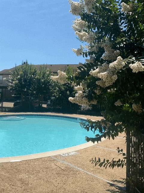 9213 Imogene Drive 9213 Property Photo 7