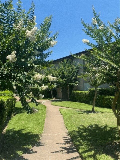 9213 Imogene Drive 9213 Property Photo 8