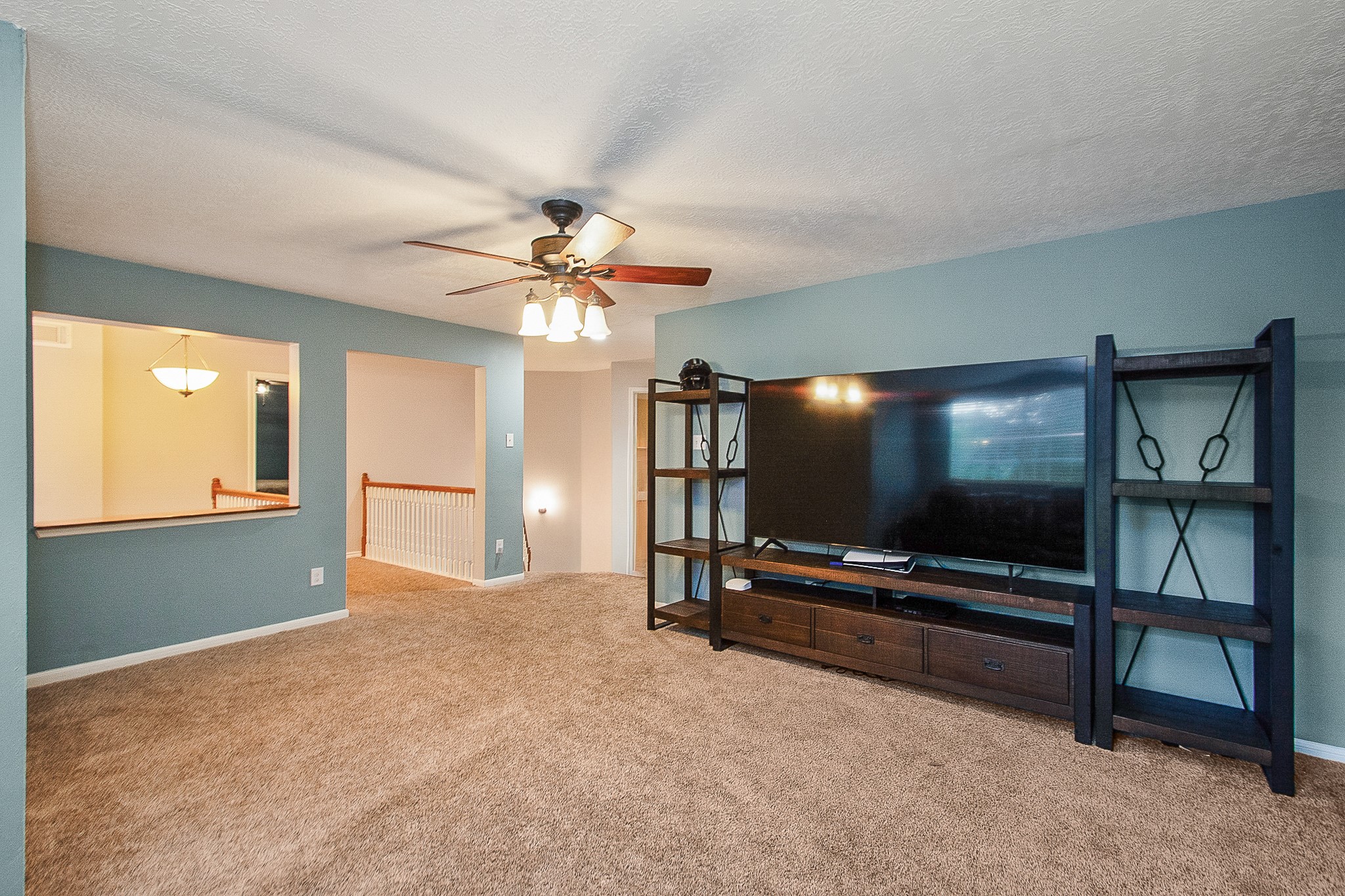 201 Carmicheal Court Property Photo 18