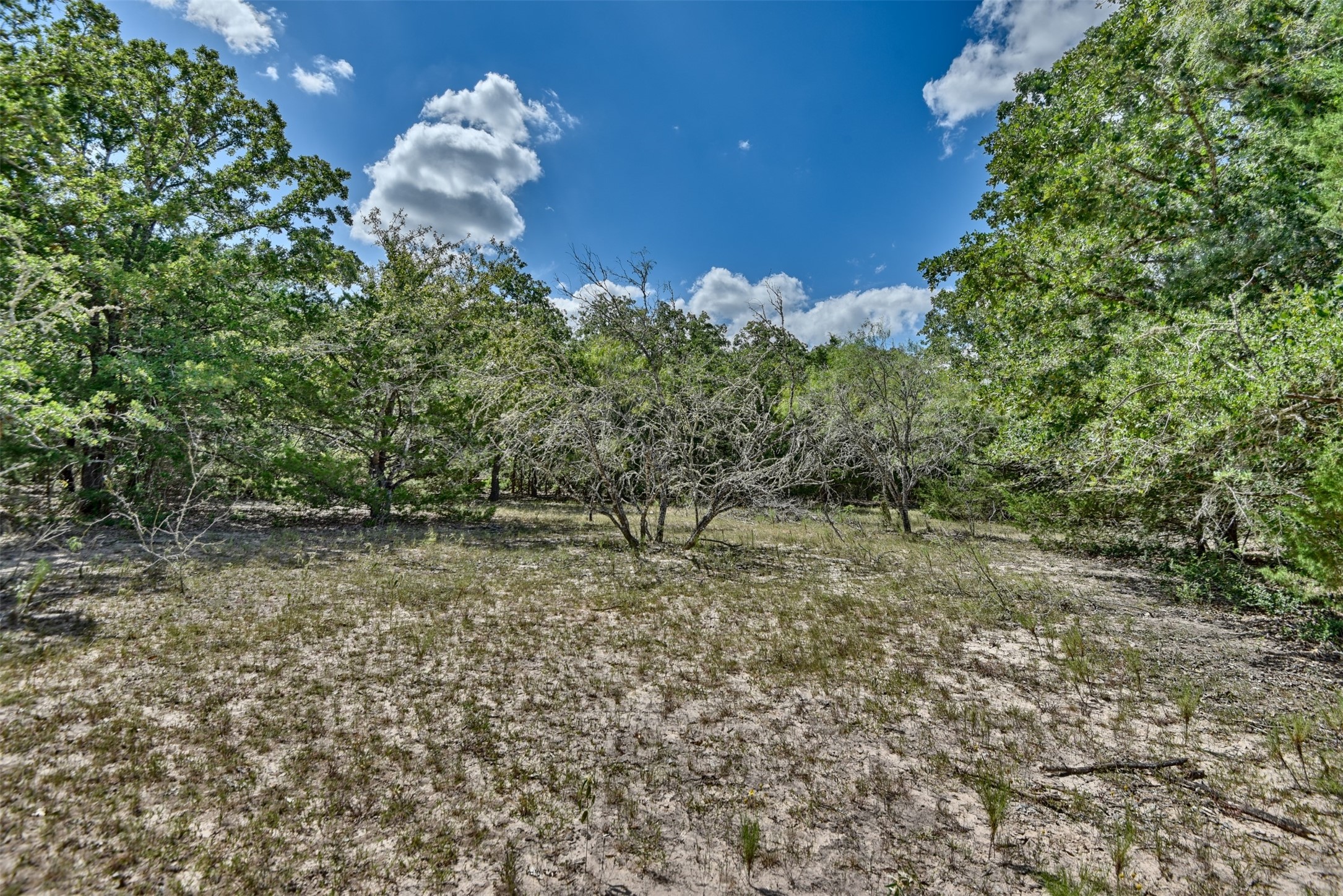 000 Makinson Road Property Photo 9