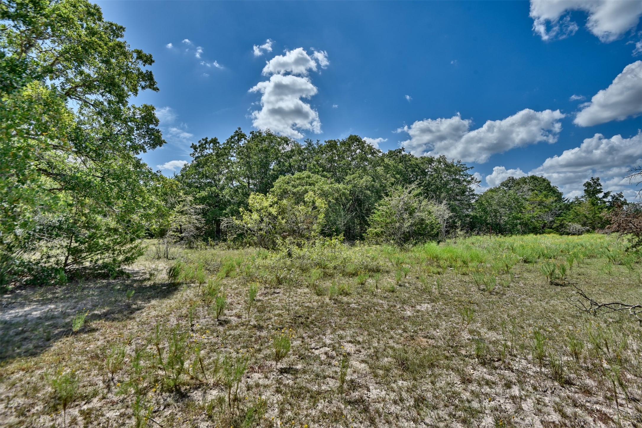 000 Makinson Road Property Photo 14