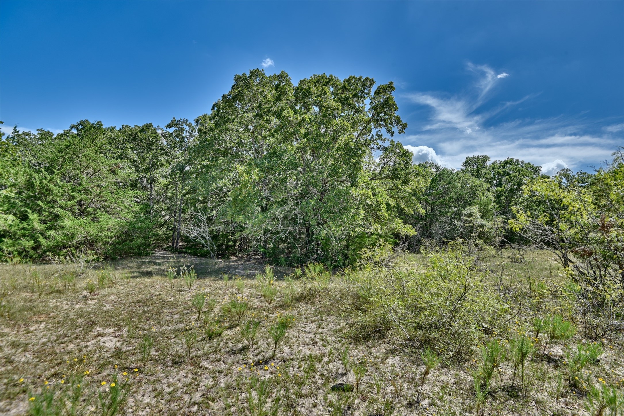 000 Makinson Road Property Photo 17