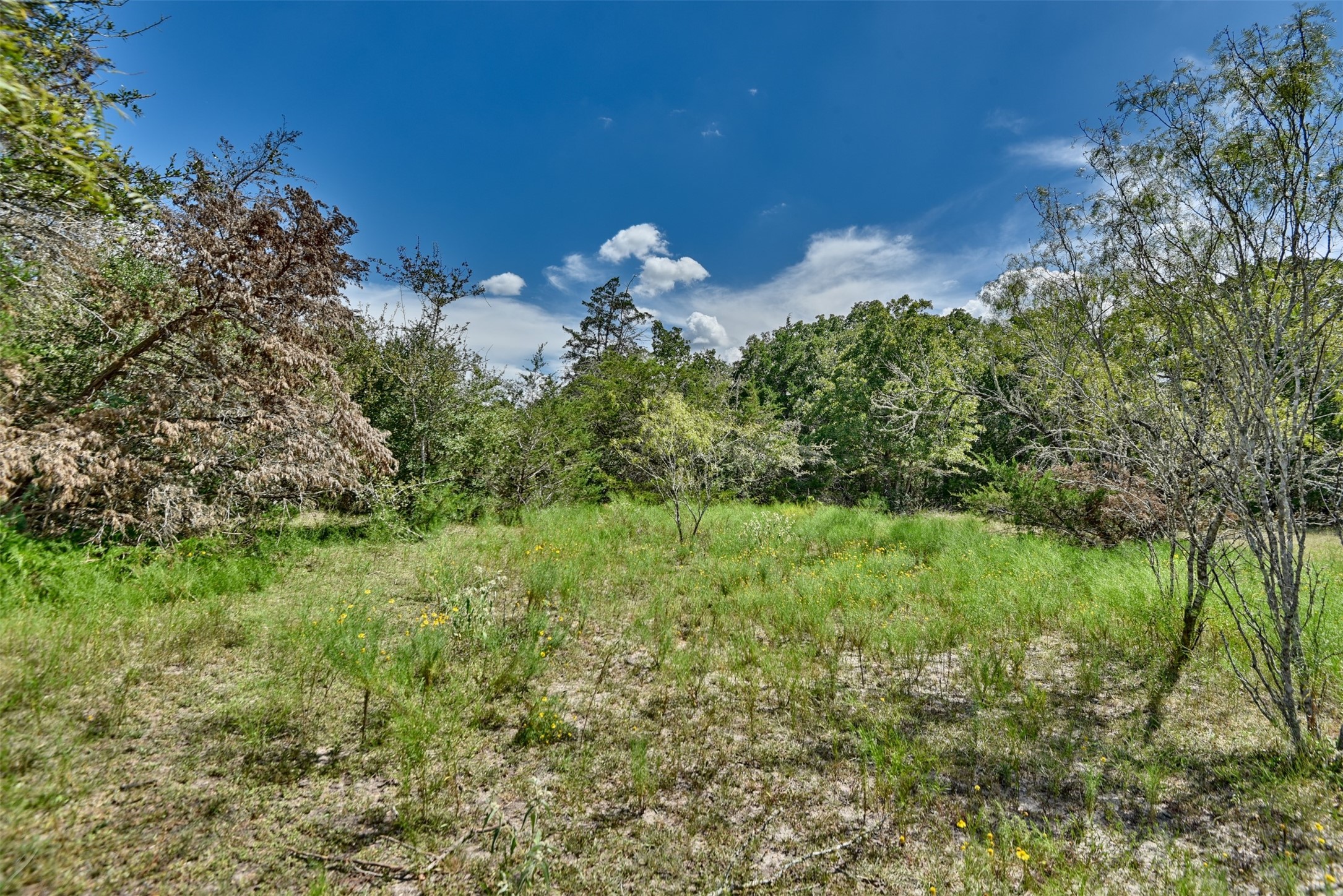 000 Makinson Road Property Photo 22