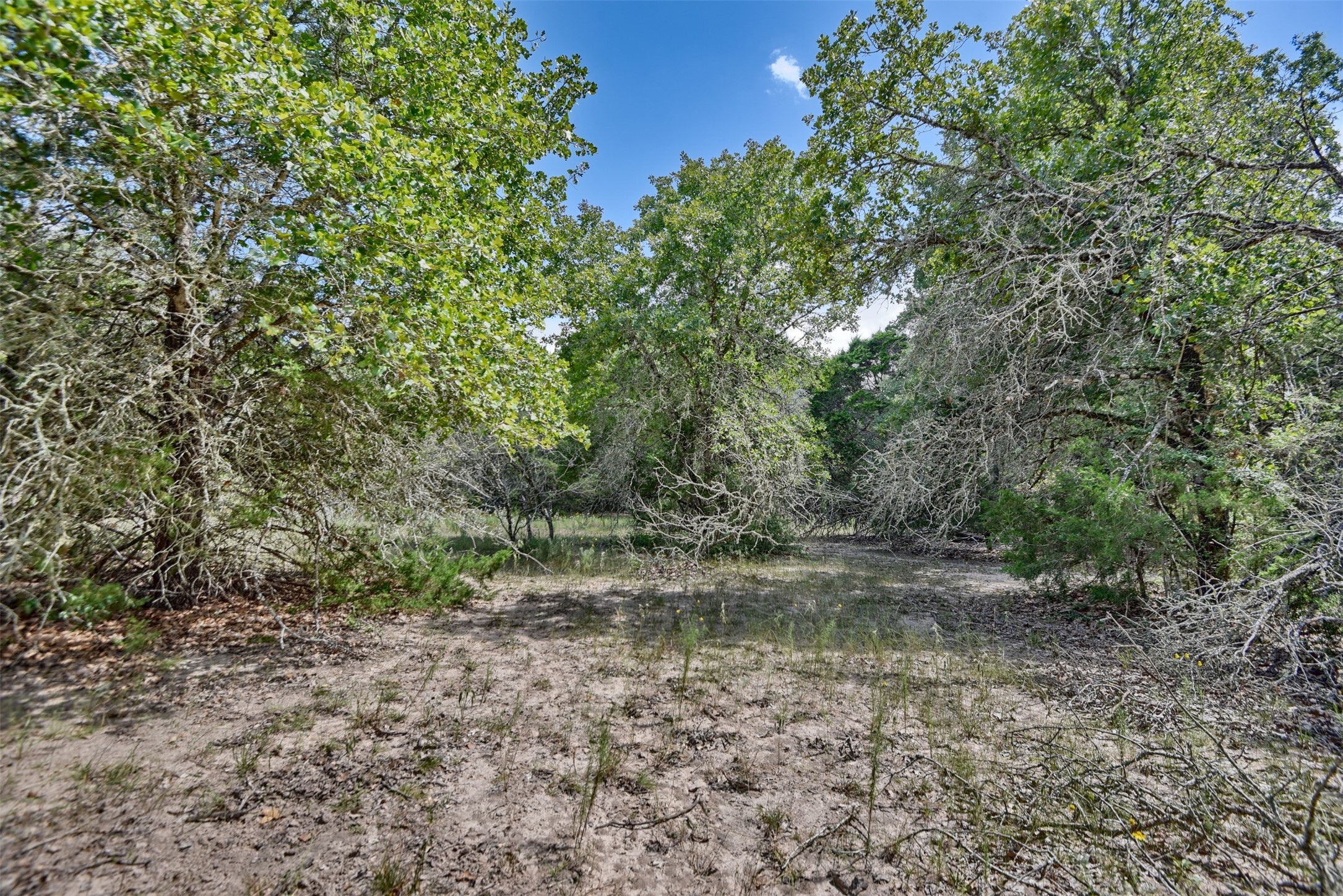 000 Makinson Road Property Photo 26