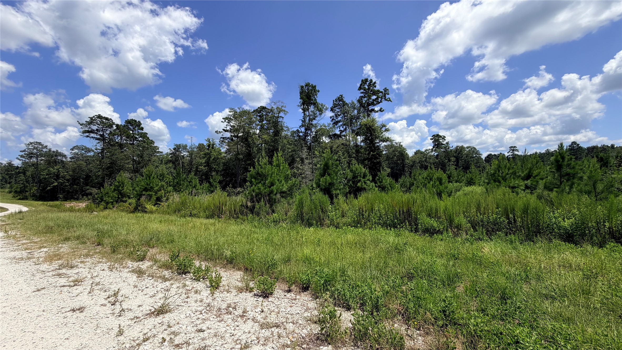 Tbd Lady Luck Ln Parcel 246445 Road Property Photo 1