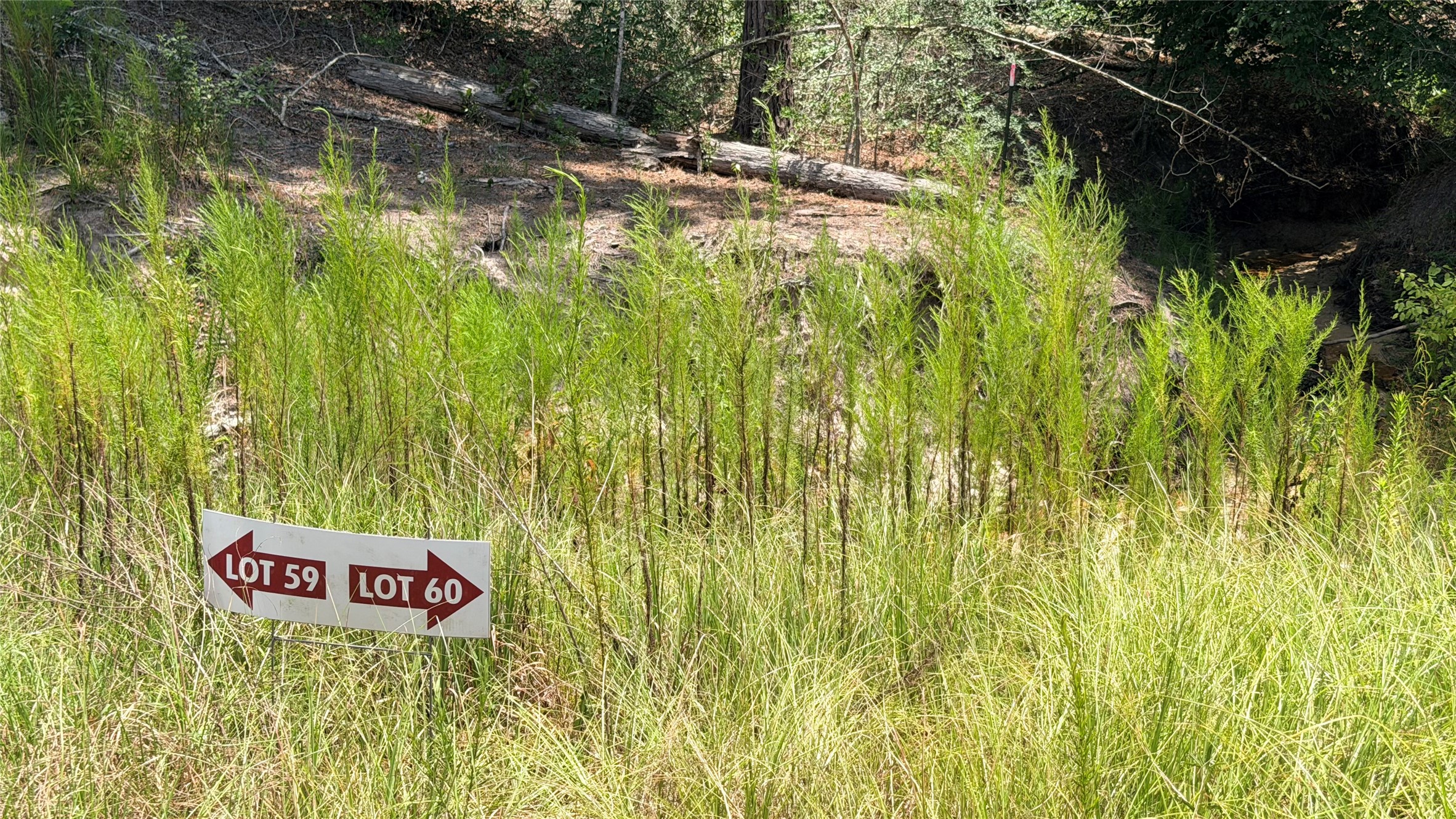 Tbd Lady Luck Ln Parcel 246445 Road Property Photo 3