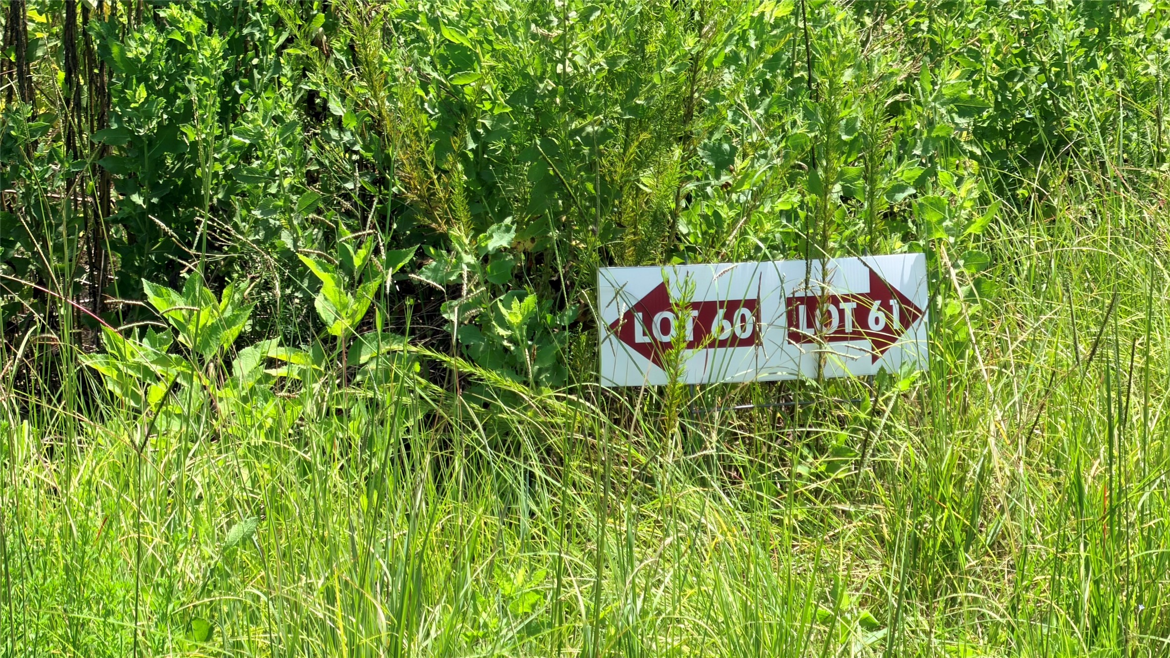 Tbd Lady Luck Ln Parcel 246445 Road Property Photo 4