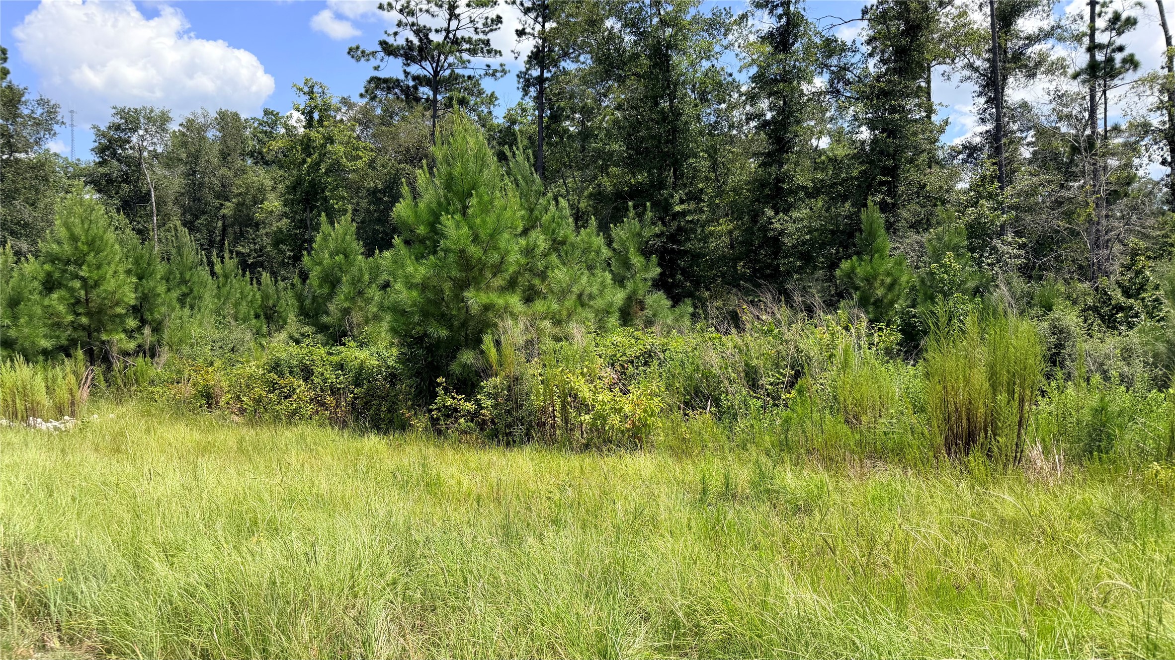Tbd Lady Luck Ln Parcel 246445 Road Property Photo 5