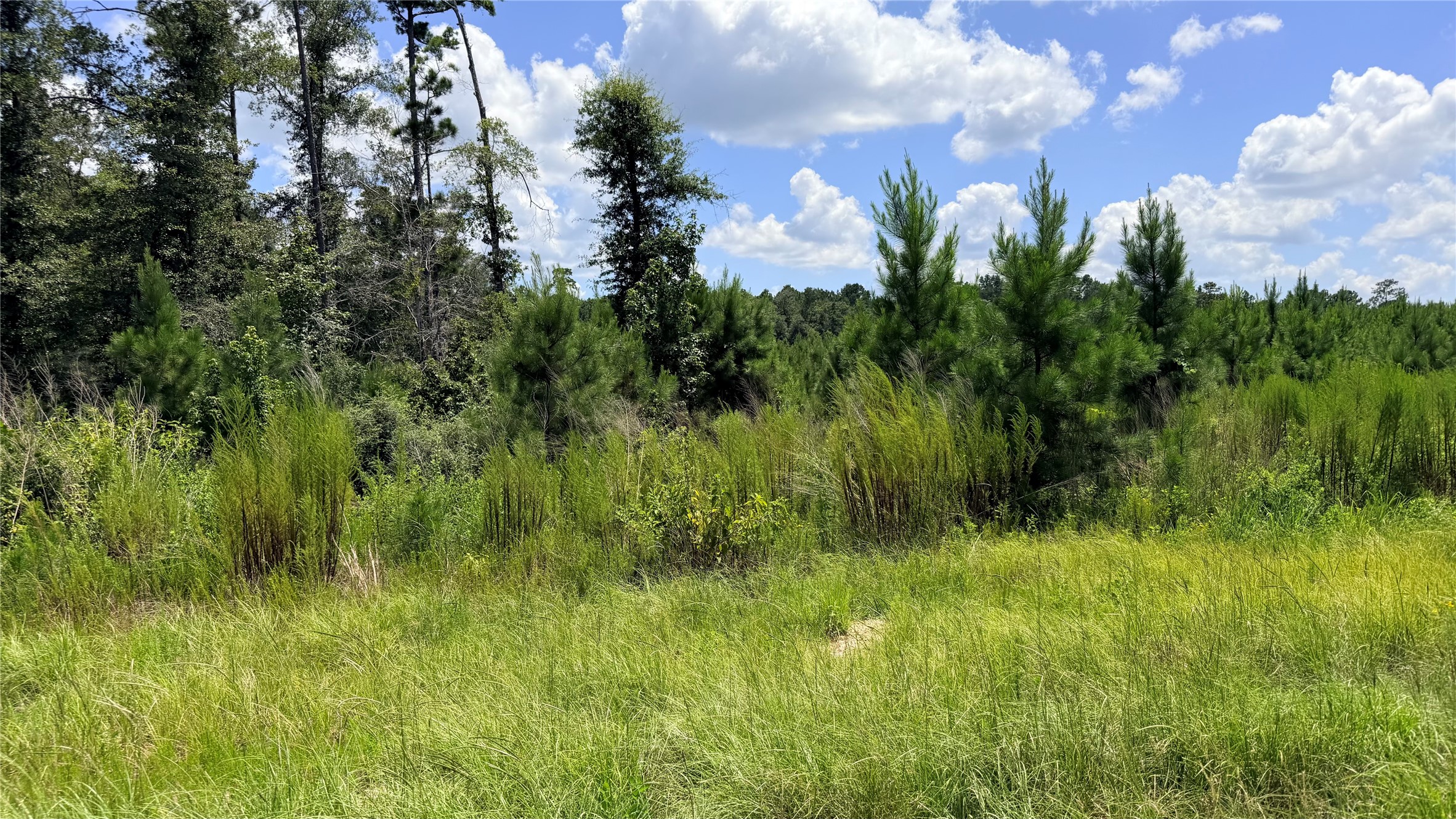 Tbd Lady Luck Ln Parcel 246445 Road Property Photo 8