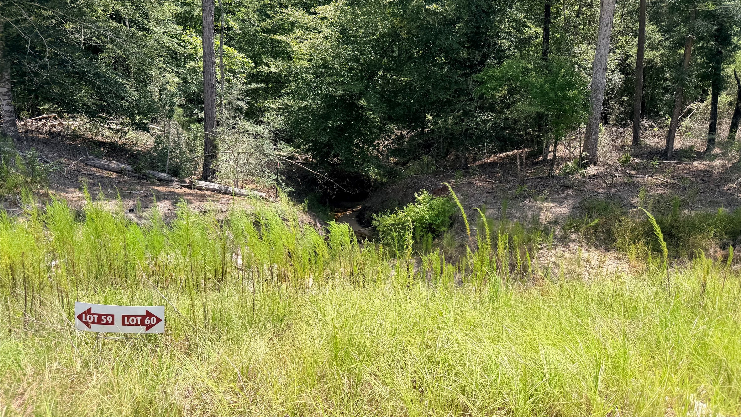 Tbd Lady Luck Ln Parcel 246445 Road Property Photo 9