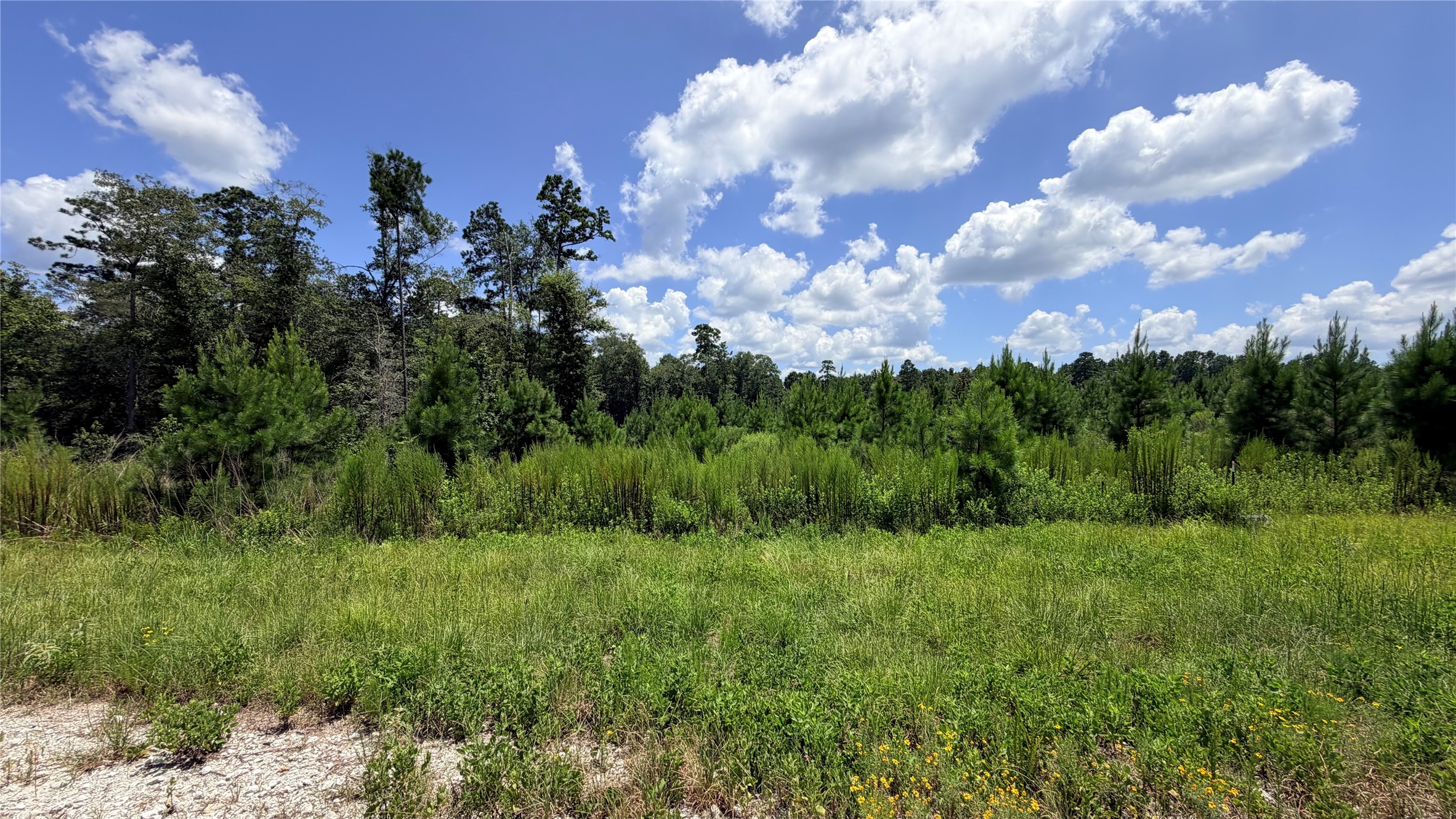 Tbd Lady Luck Ln Parcel 246445 Road Property Photo 11
