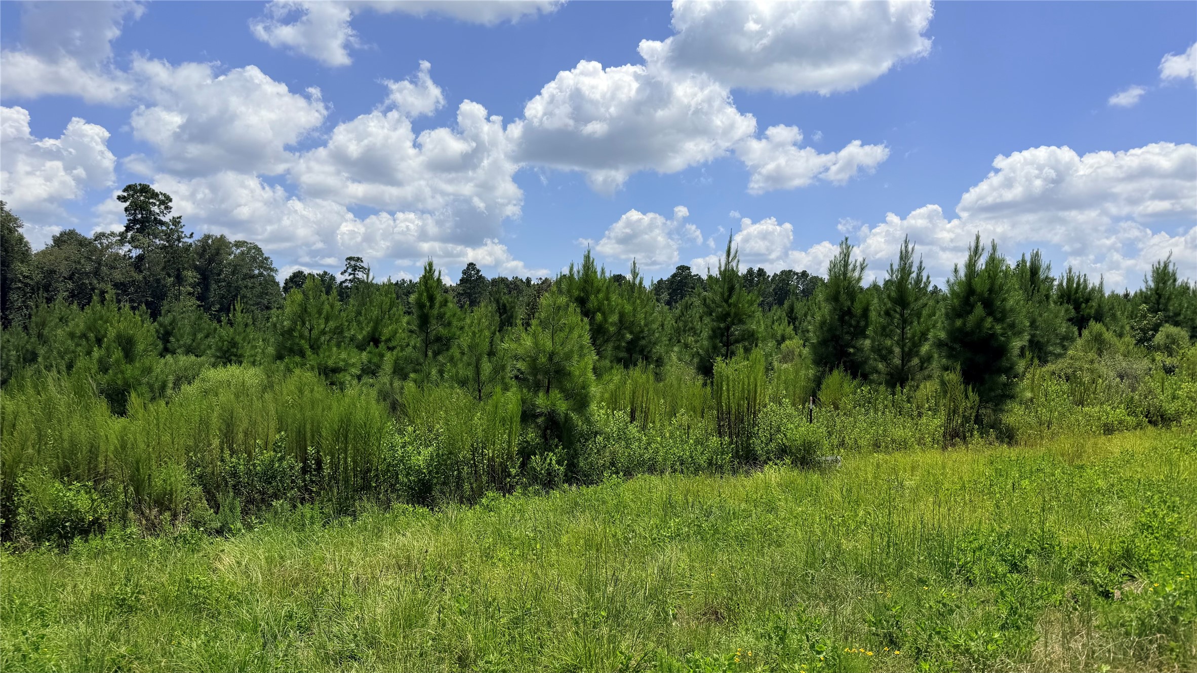 Tbd Lady Luck Ln Parcel 246445 Road Property Photo 12