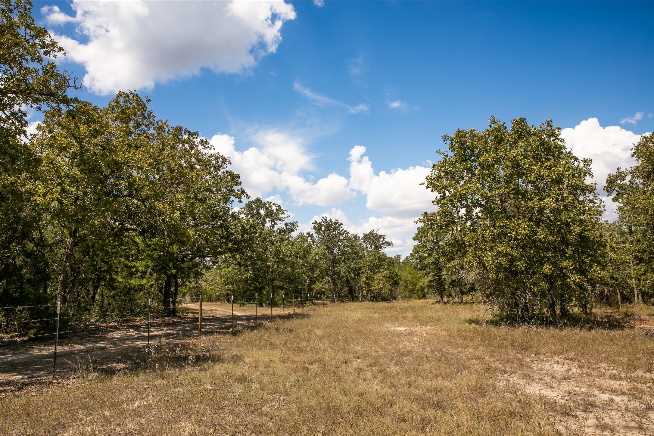 Tbd Fm 180 Property Photo 1