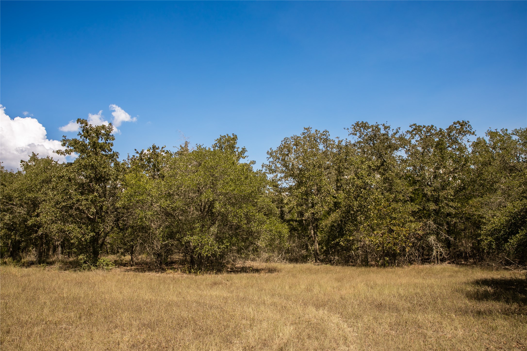 Tbd Fm 180 Property Photo 2