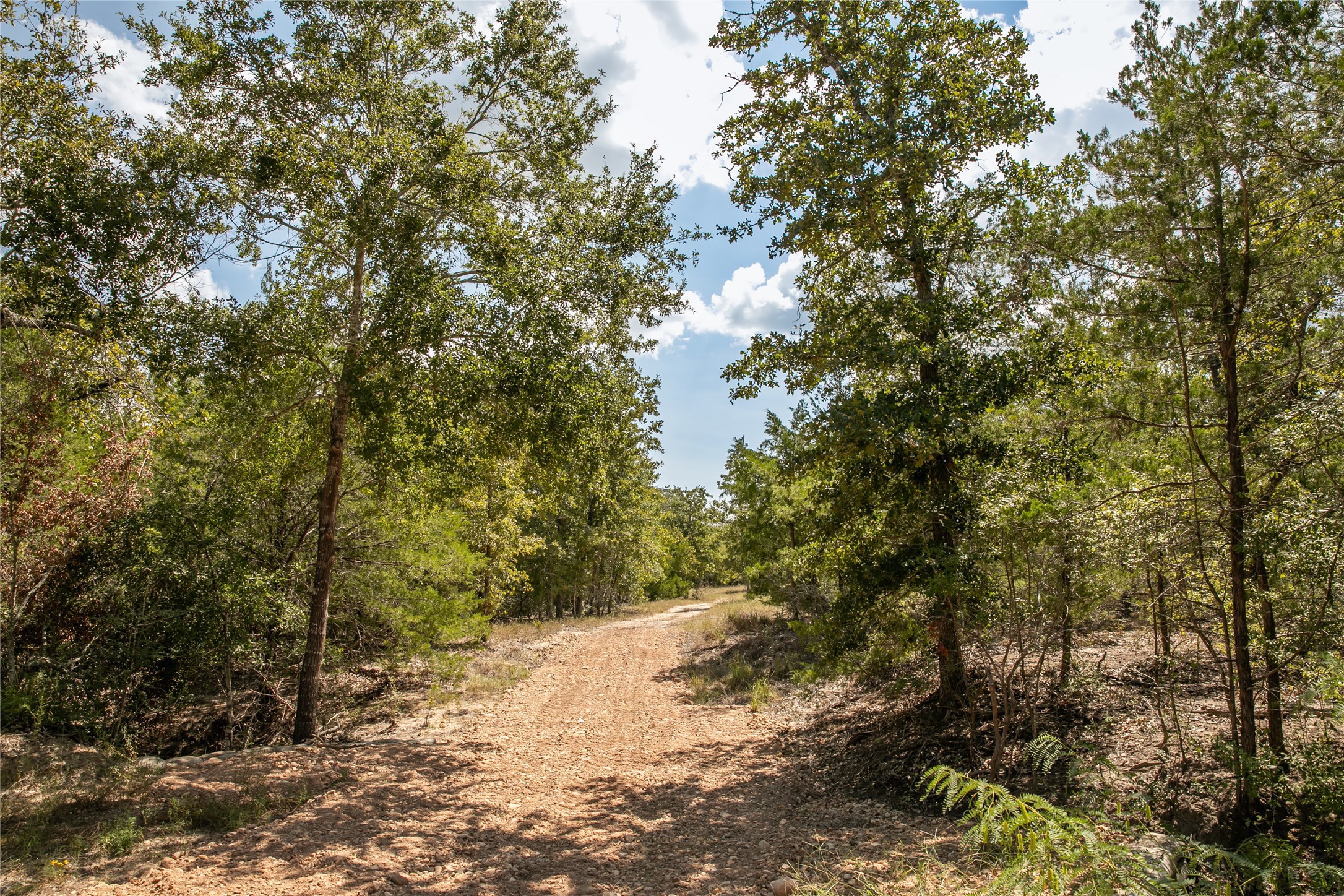 Tbd Fm 180 Property Photo 4