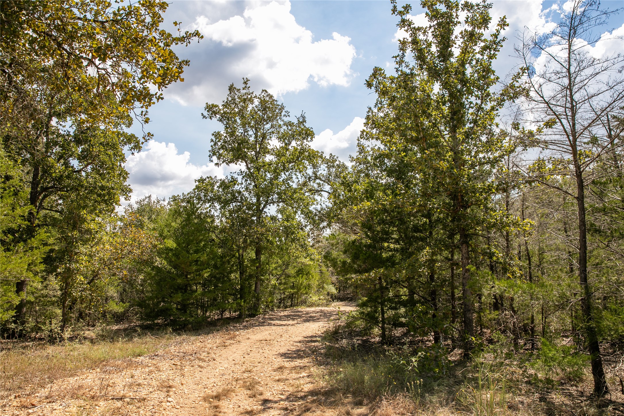 Tbd Fm 180 Property Photo 5