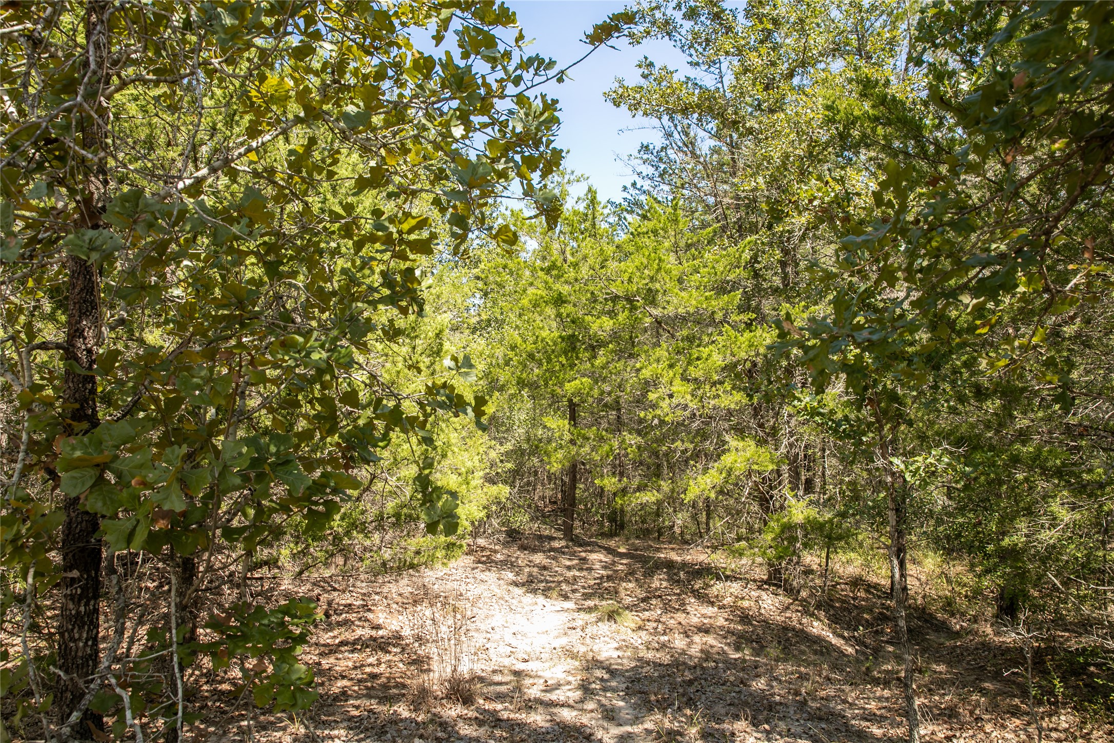Tbd Fm 180 Property Photo 6