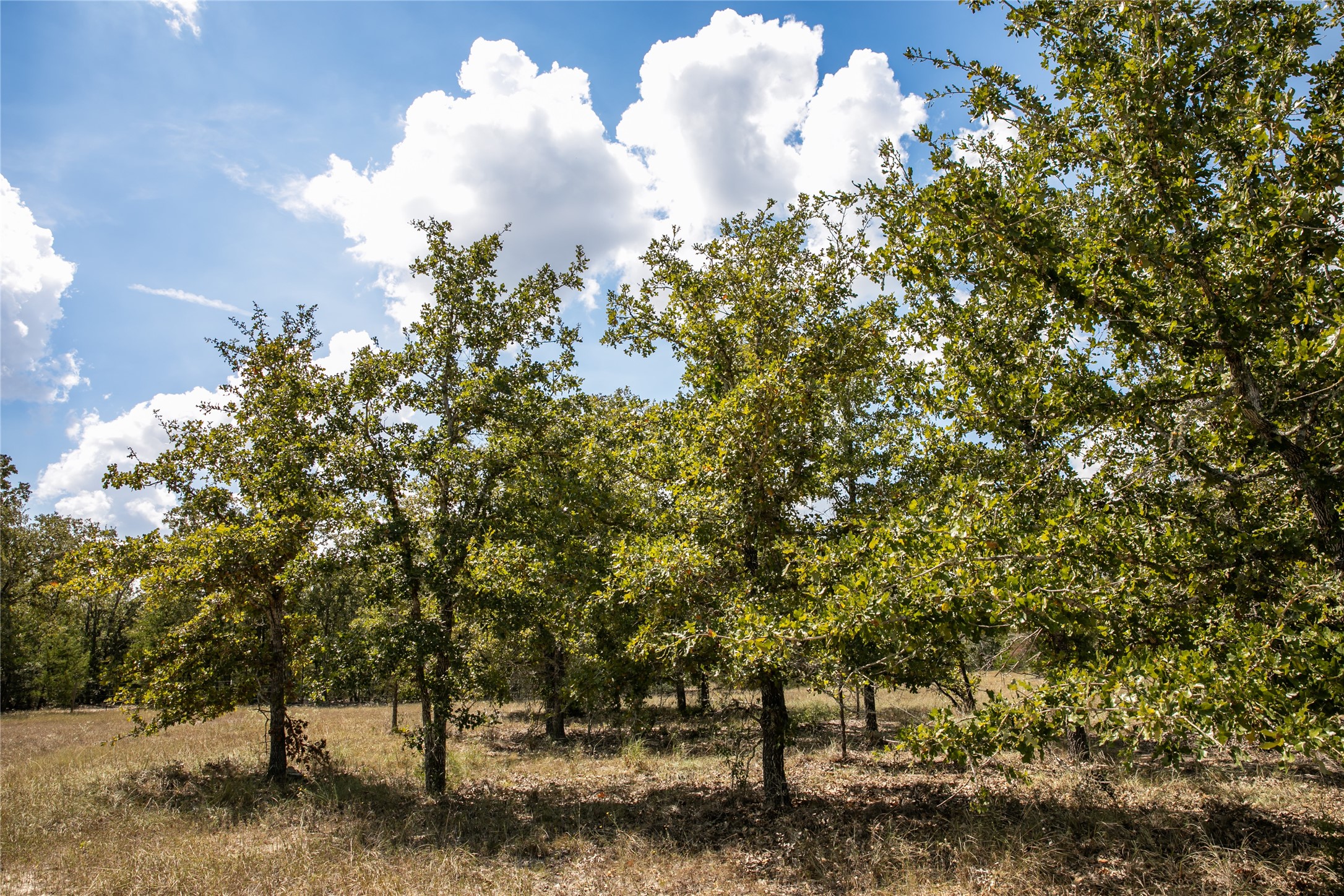 Tbd Fm 180 Property Photo 7