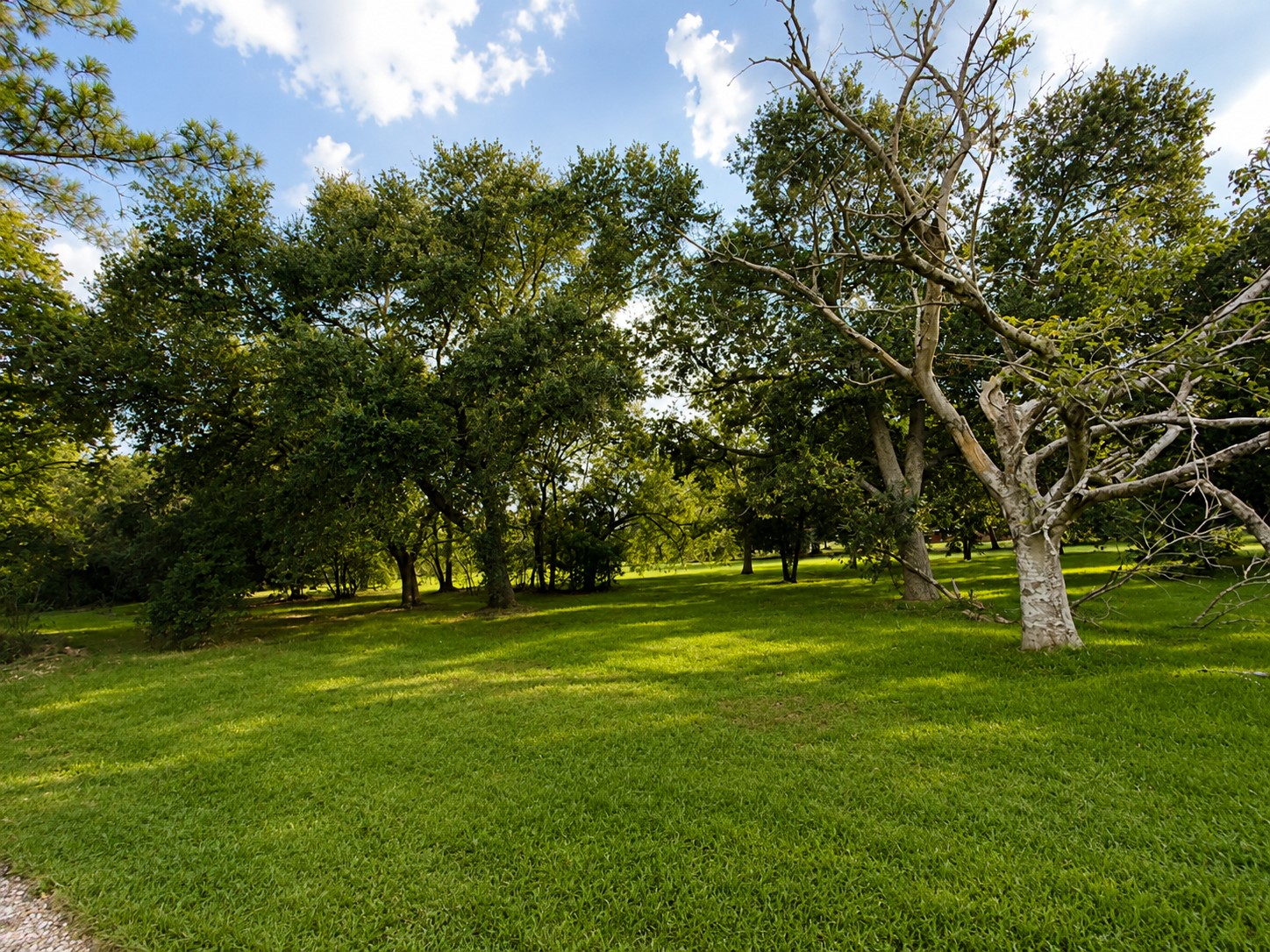 2245 County Road 130 Property Photo 12
