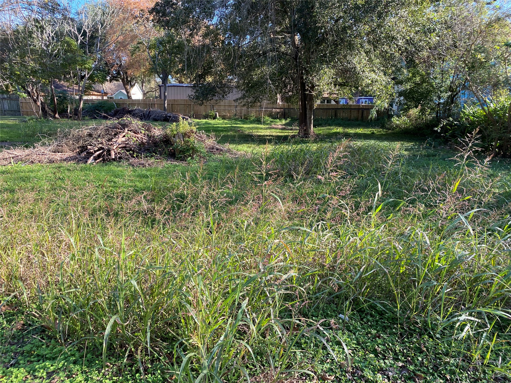 913 Chesnut Street Property Photo 2