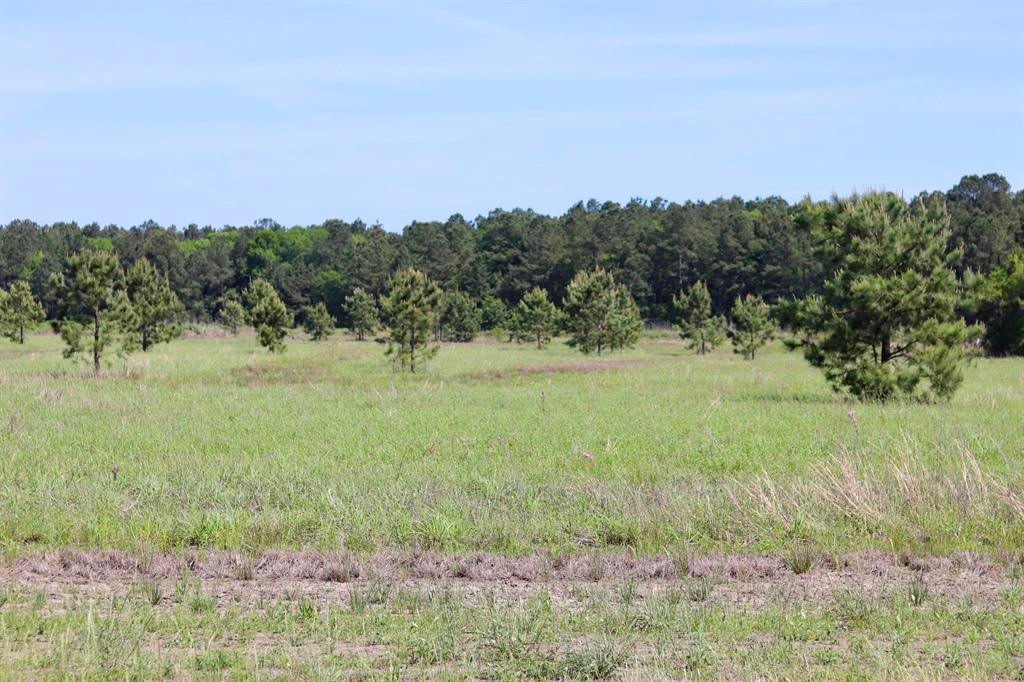 27480 Hwy 365 Road Property Photo 1