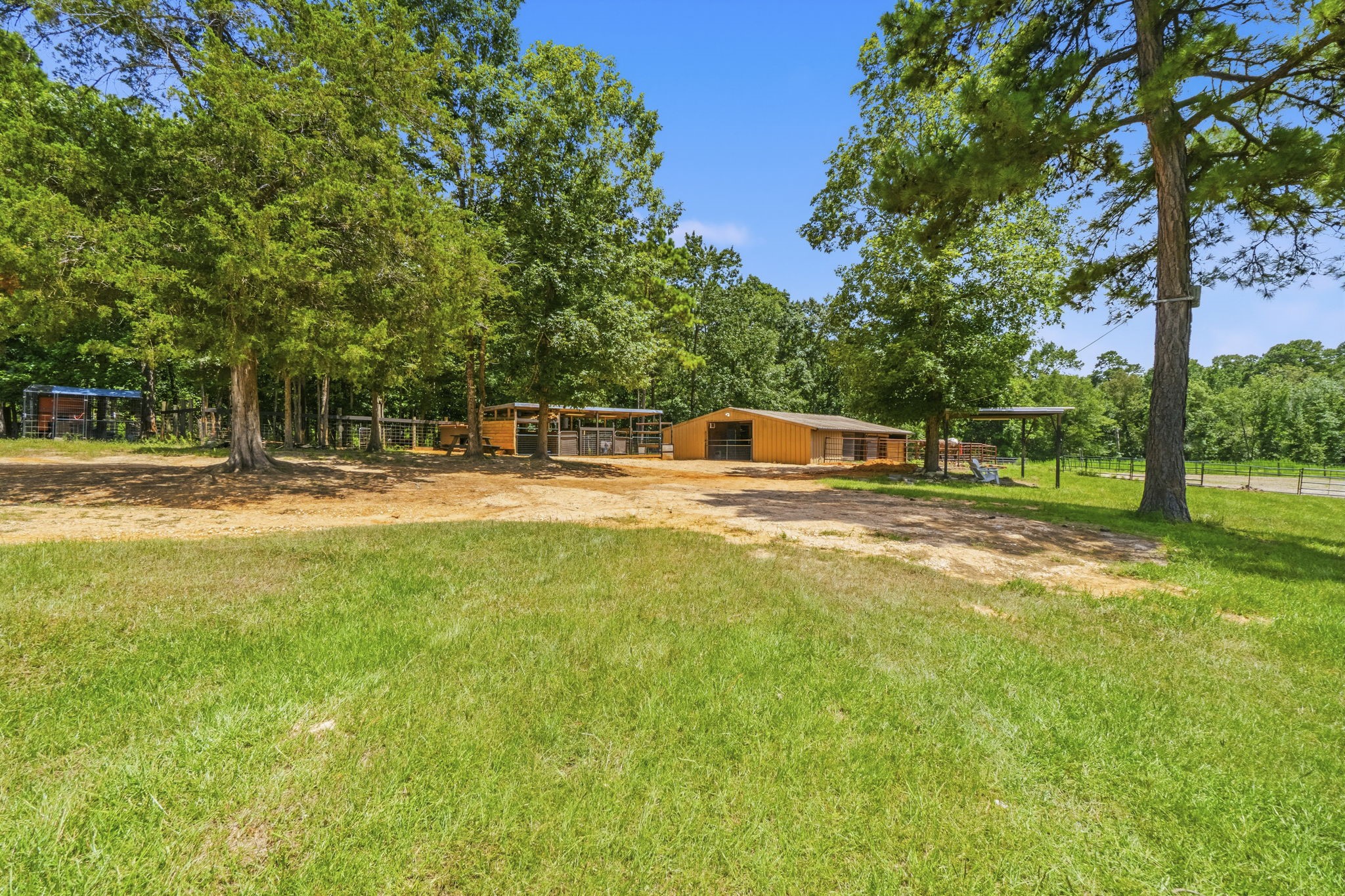 1239 Tony Peebles Road Property Photo 6