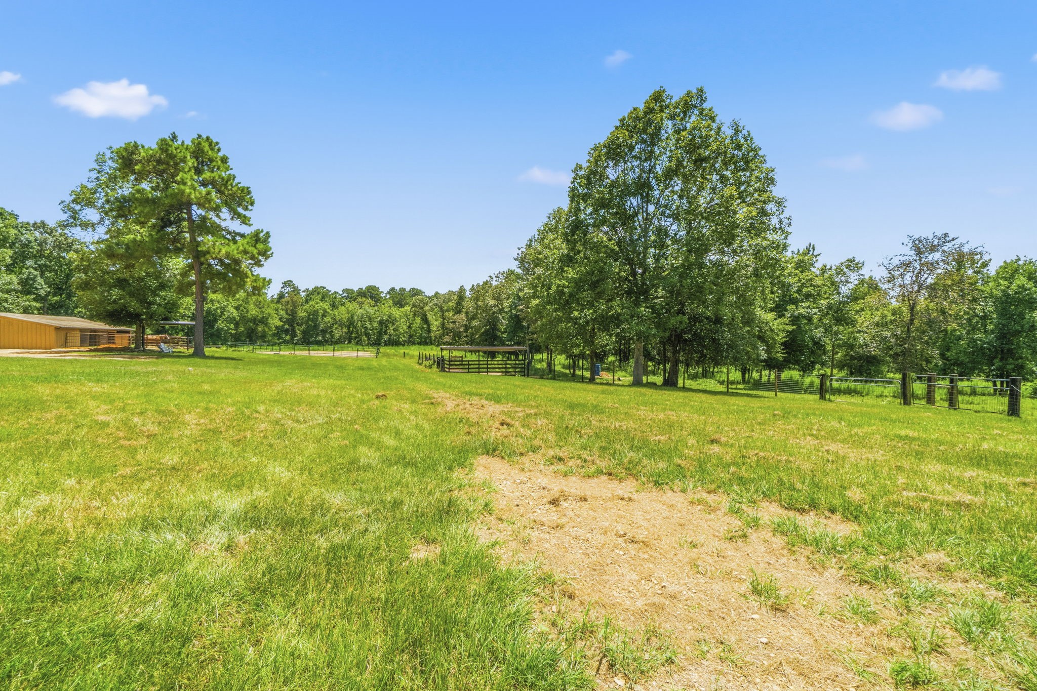 1239 Tony Peebles Road Property Photo 32