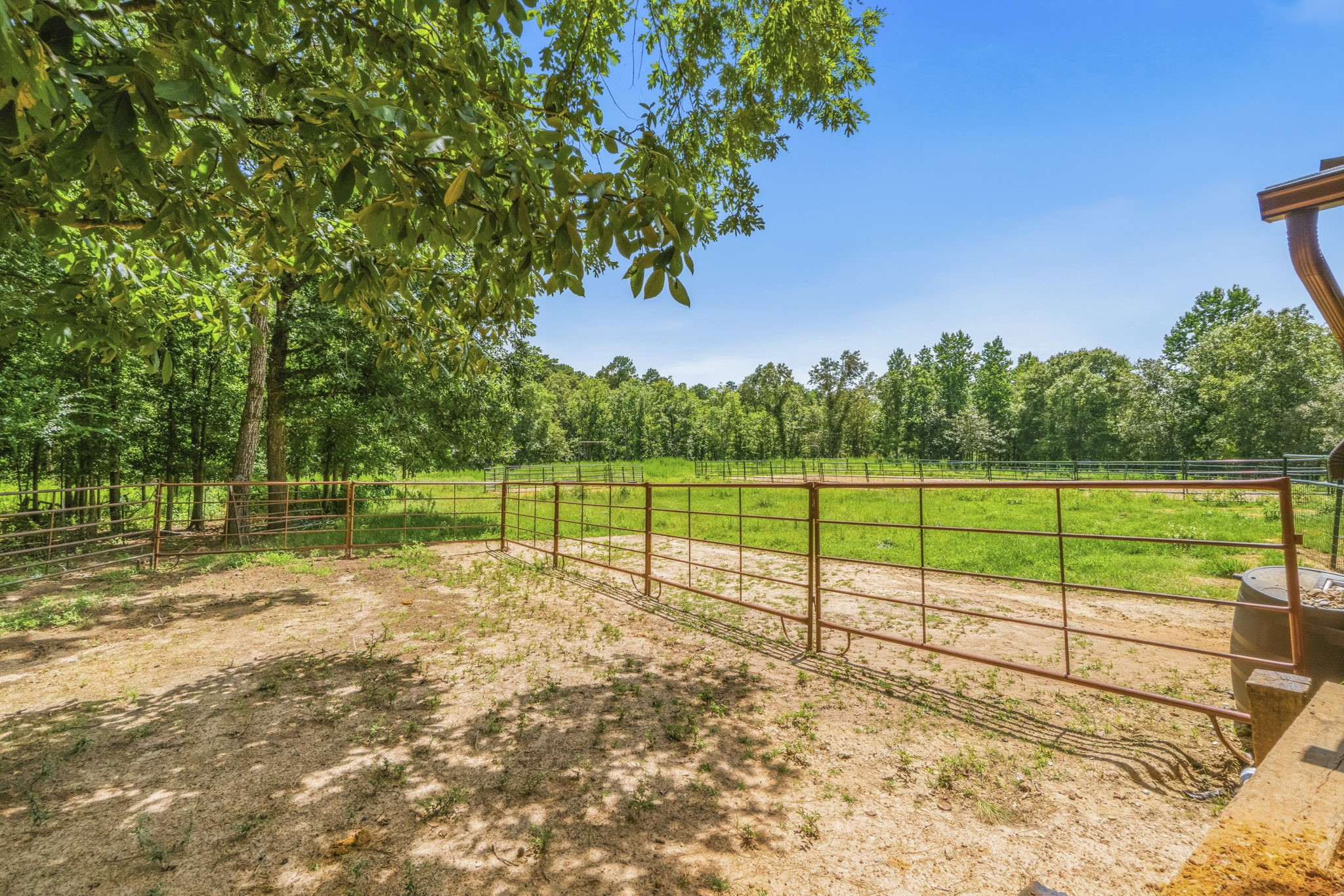 1239 Tony Peebles Road Property Photo 47