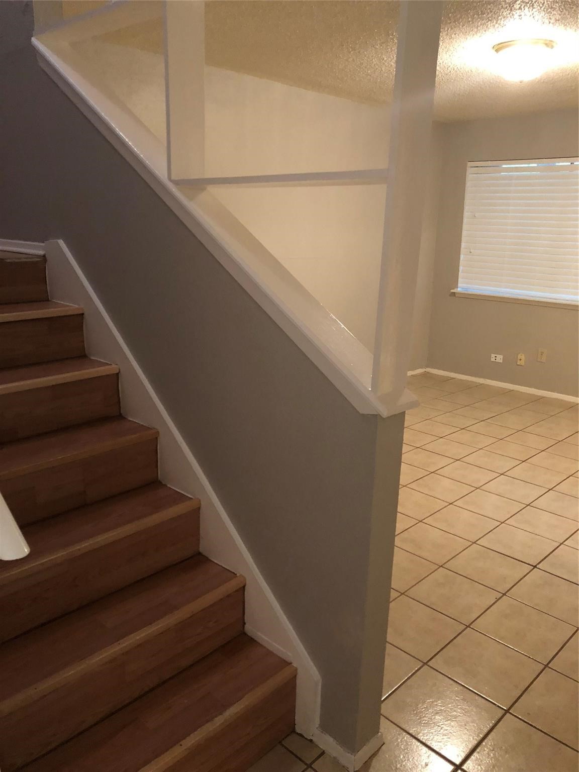 12002 Mighty Oak Drive Property Photo 4