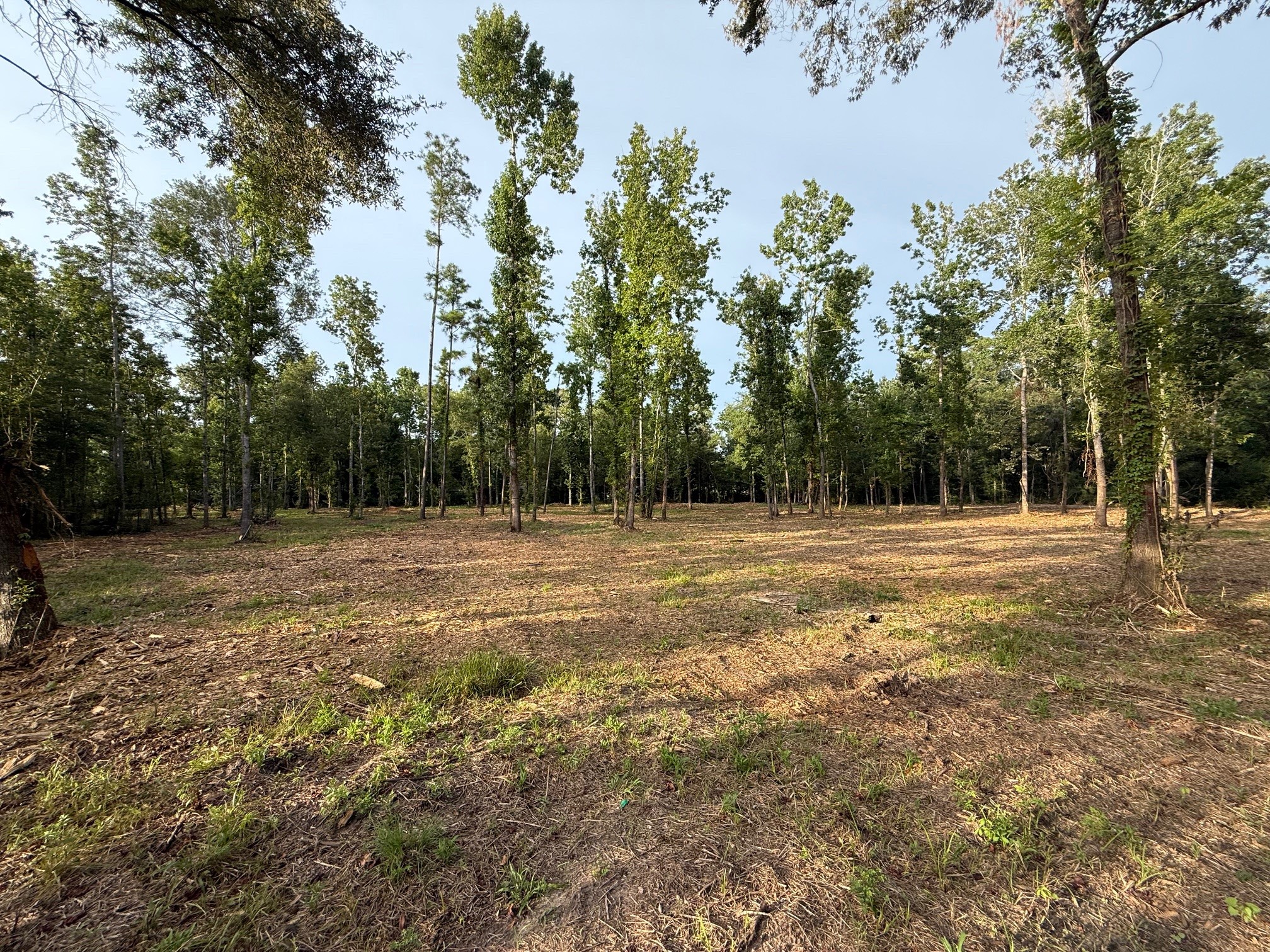0 Walters Road Property Photo 1