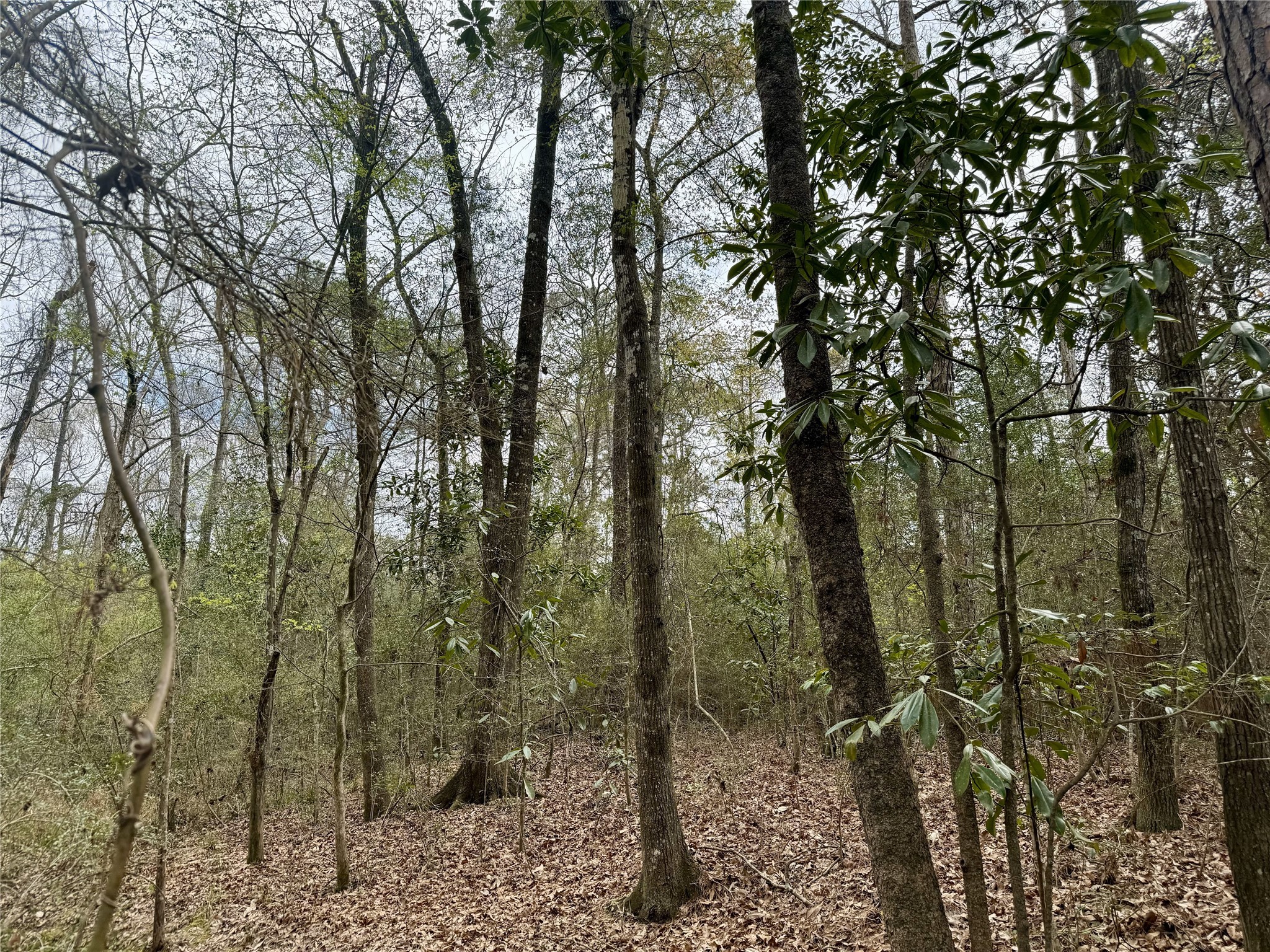 11588 Midway Road Property Photo 22