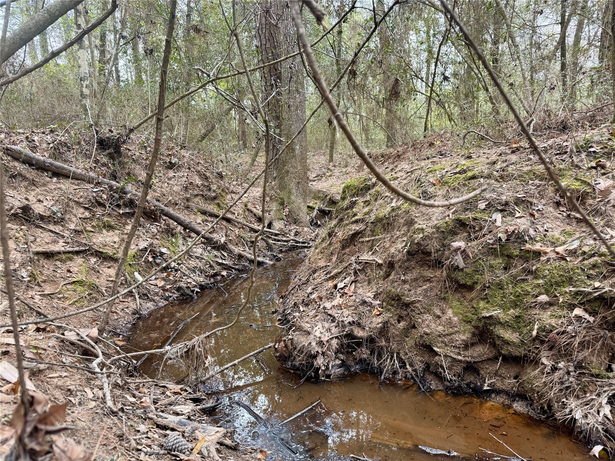 11588 Midway Road Property Photo 23