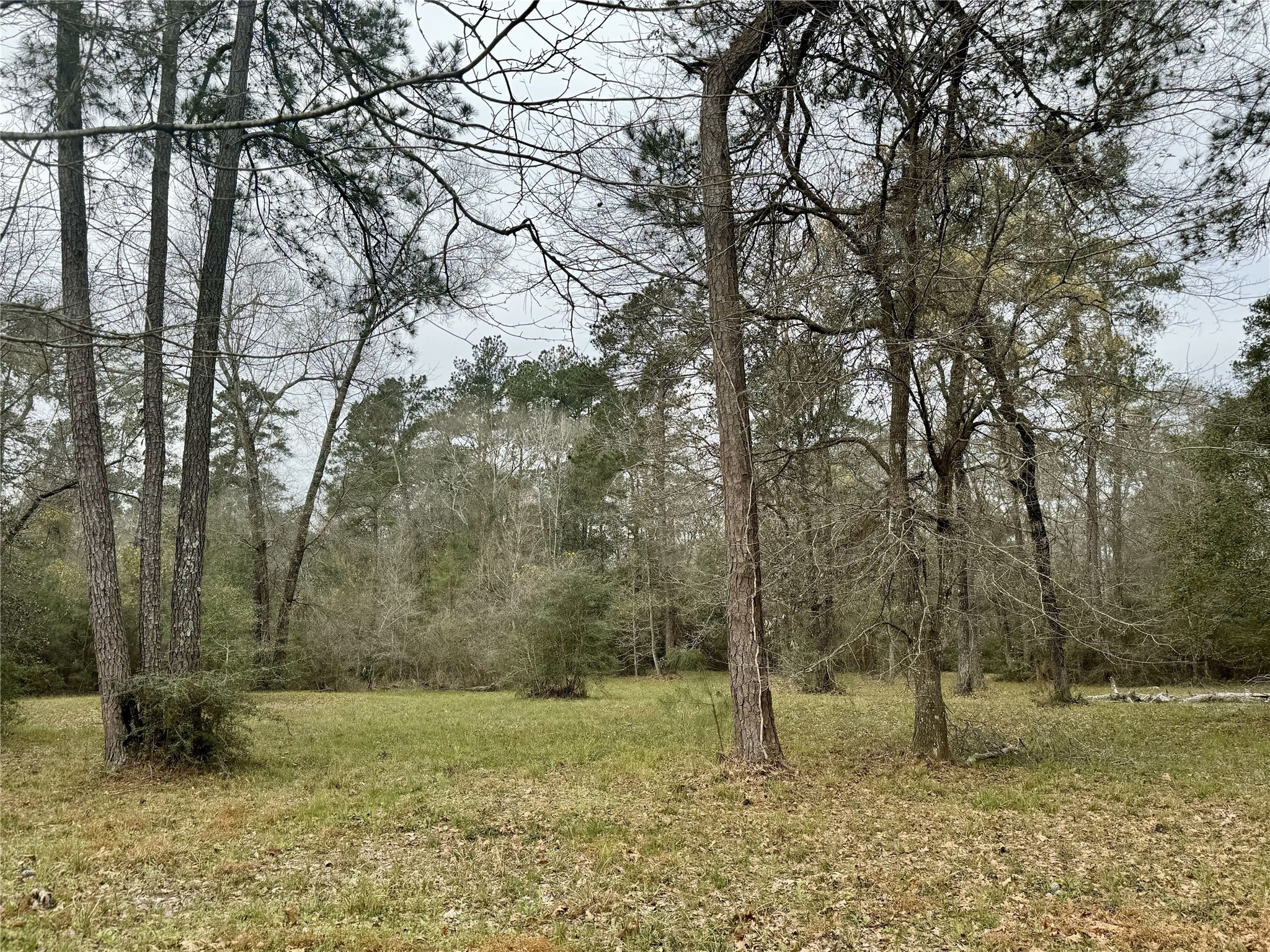 11588 Midway Road Property Photo 24