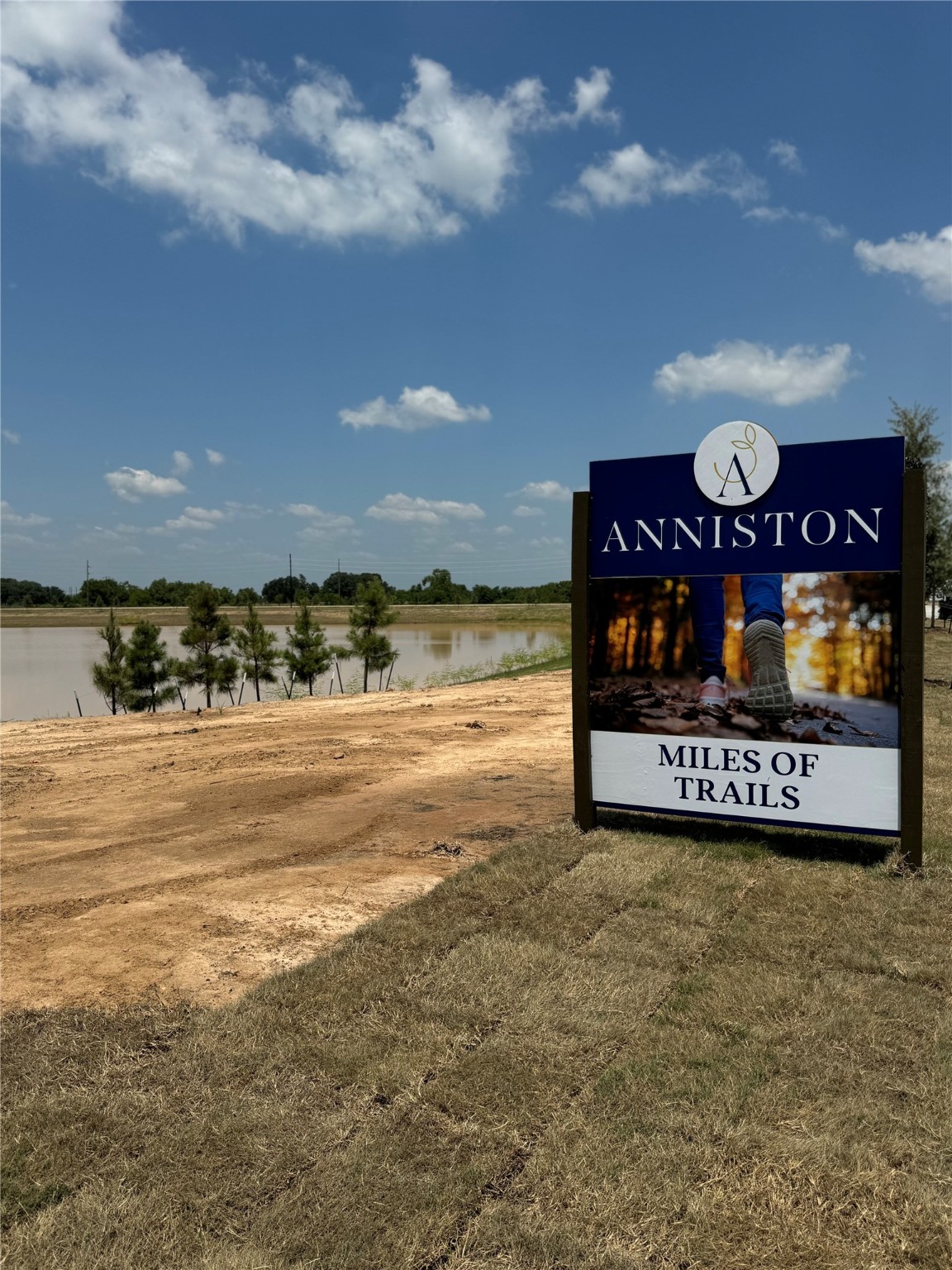 26727 Dalmatian Bellflower Property Photo 8