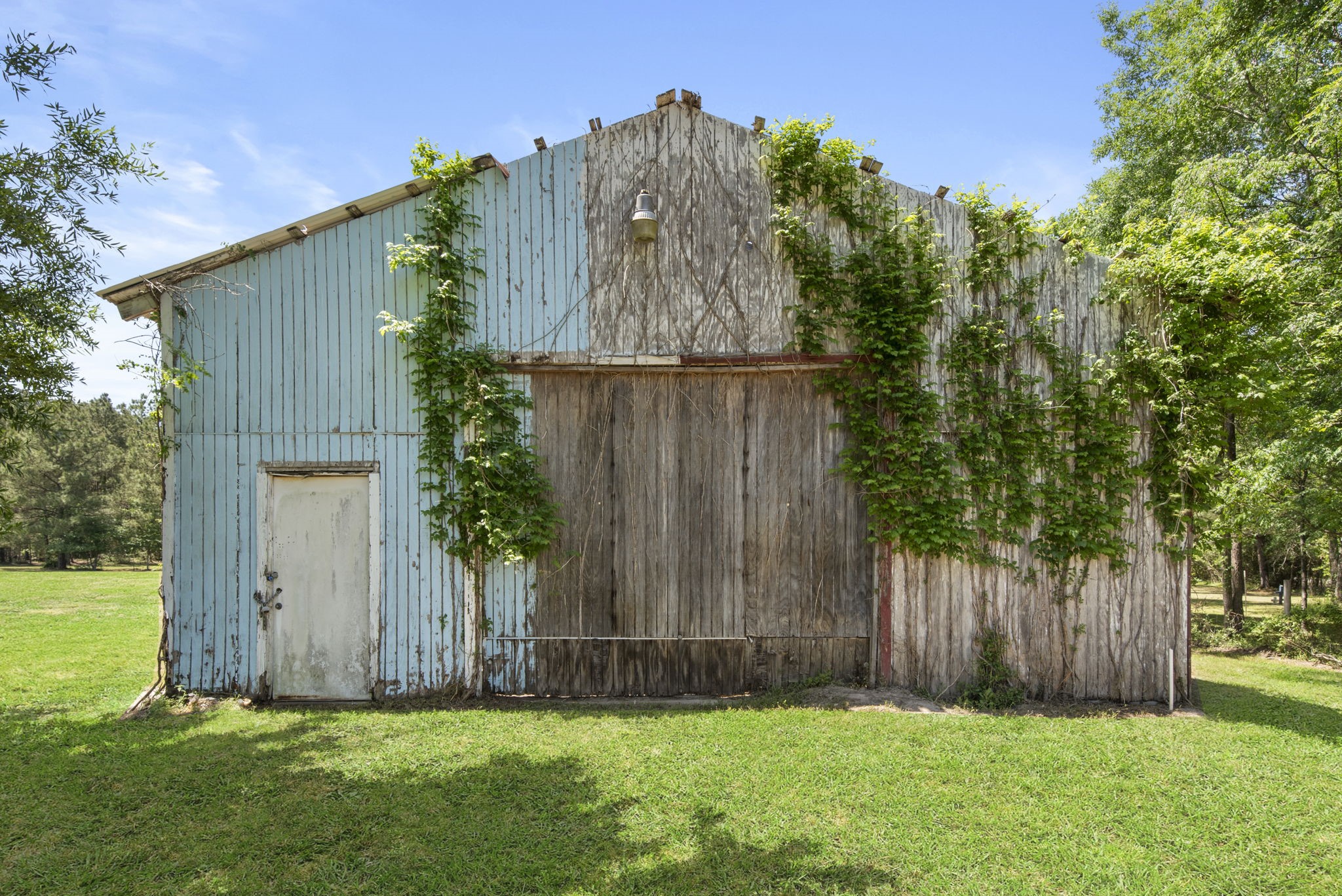2814 Fm 356 Property Photo 10