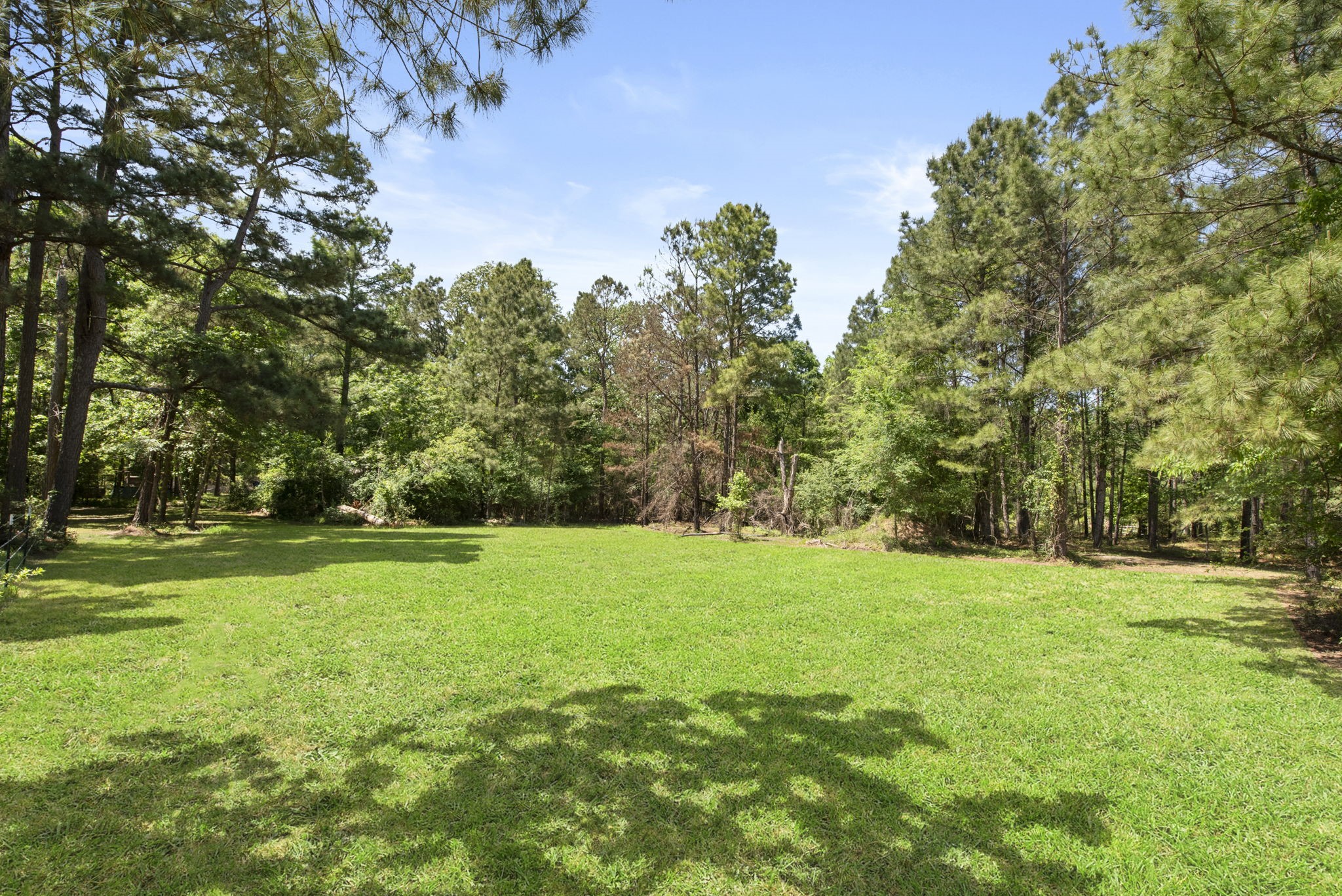 2814 Fm 356 Property Photo 13