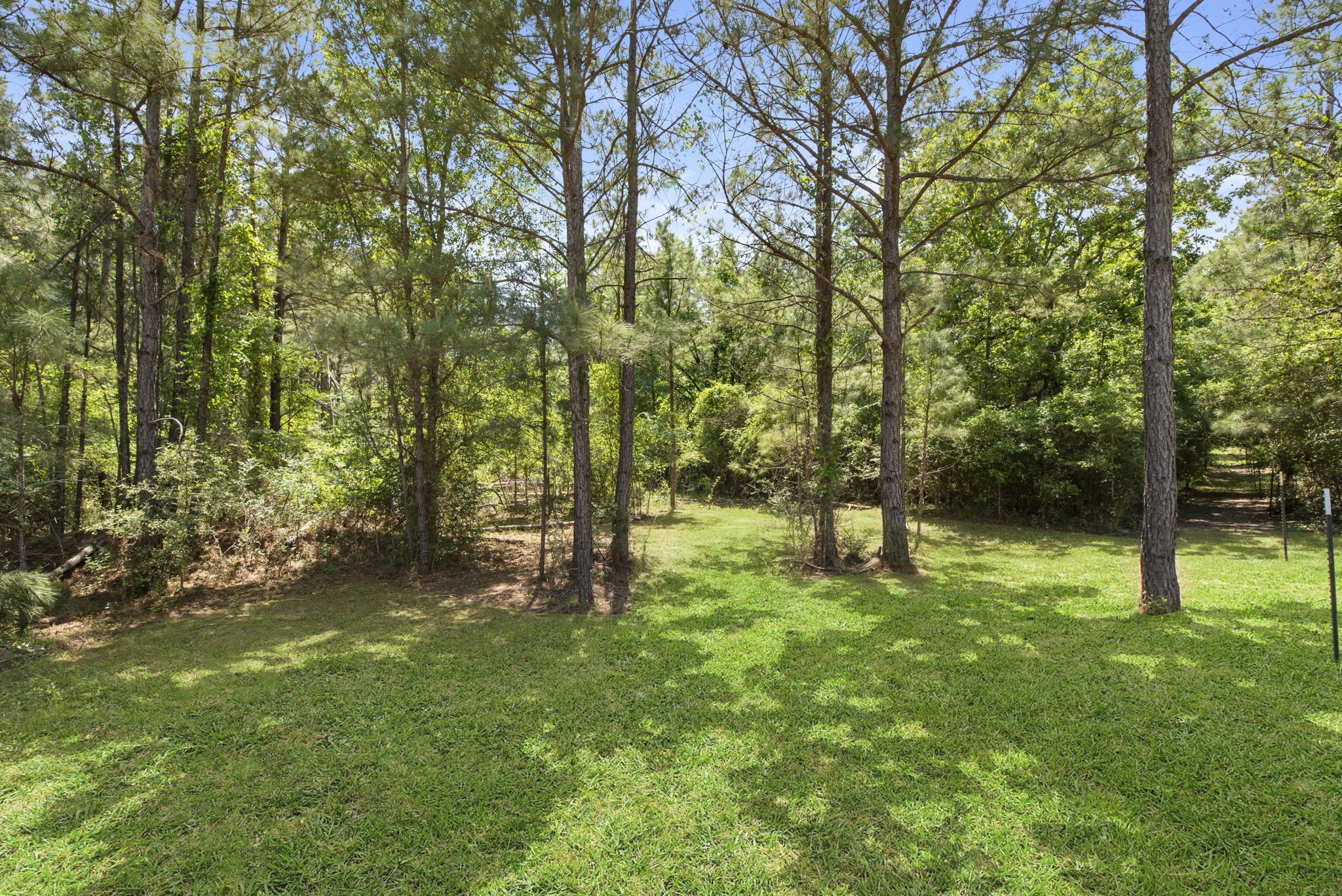2814 Fm 356 Property Photo 17