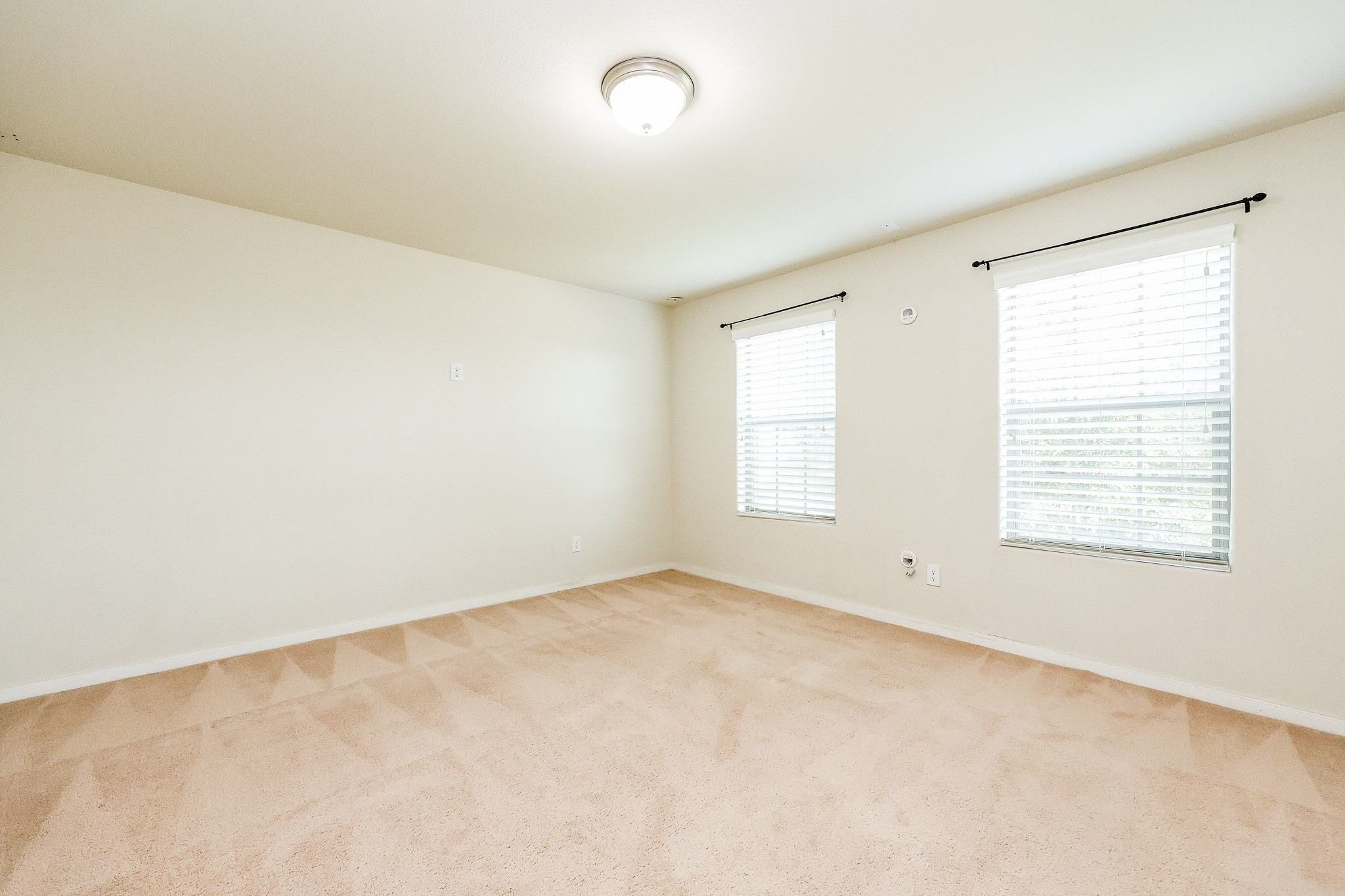 20135 Linden Spruce Lane Property Photo 26