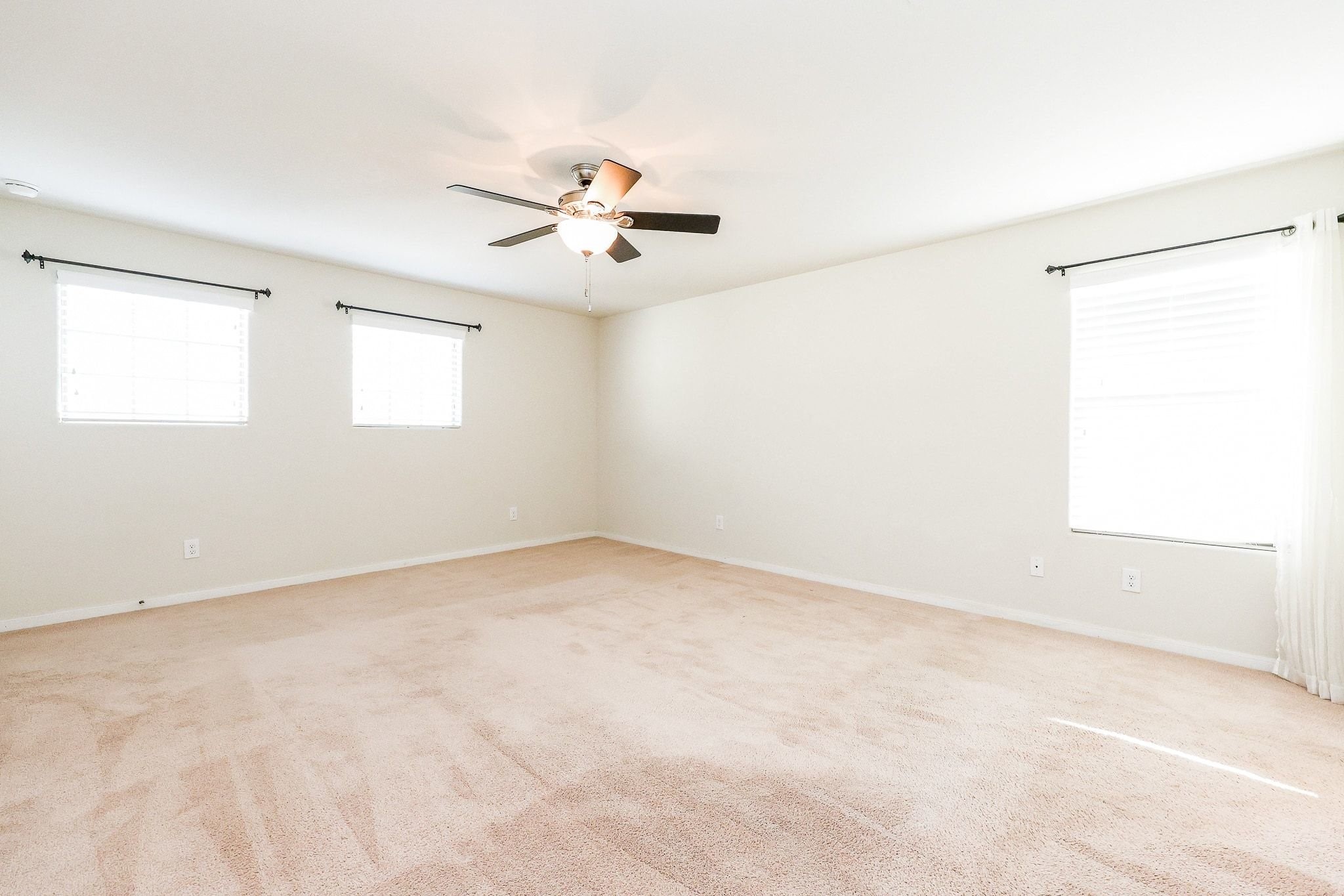 20135 Linden Spruce Lane Property Photo 31