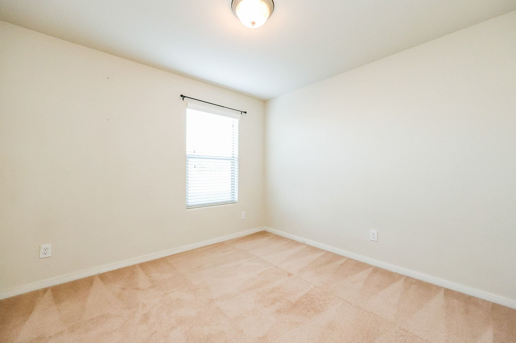 20135 Linden Spruce Lane Property Photo 37