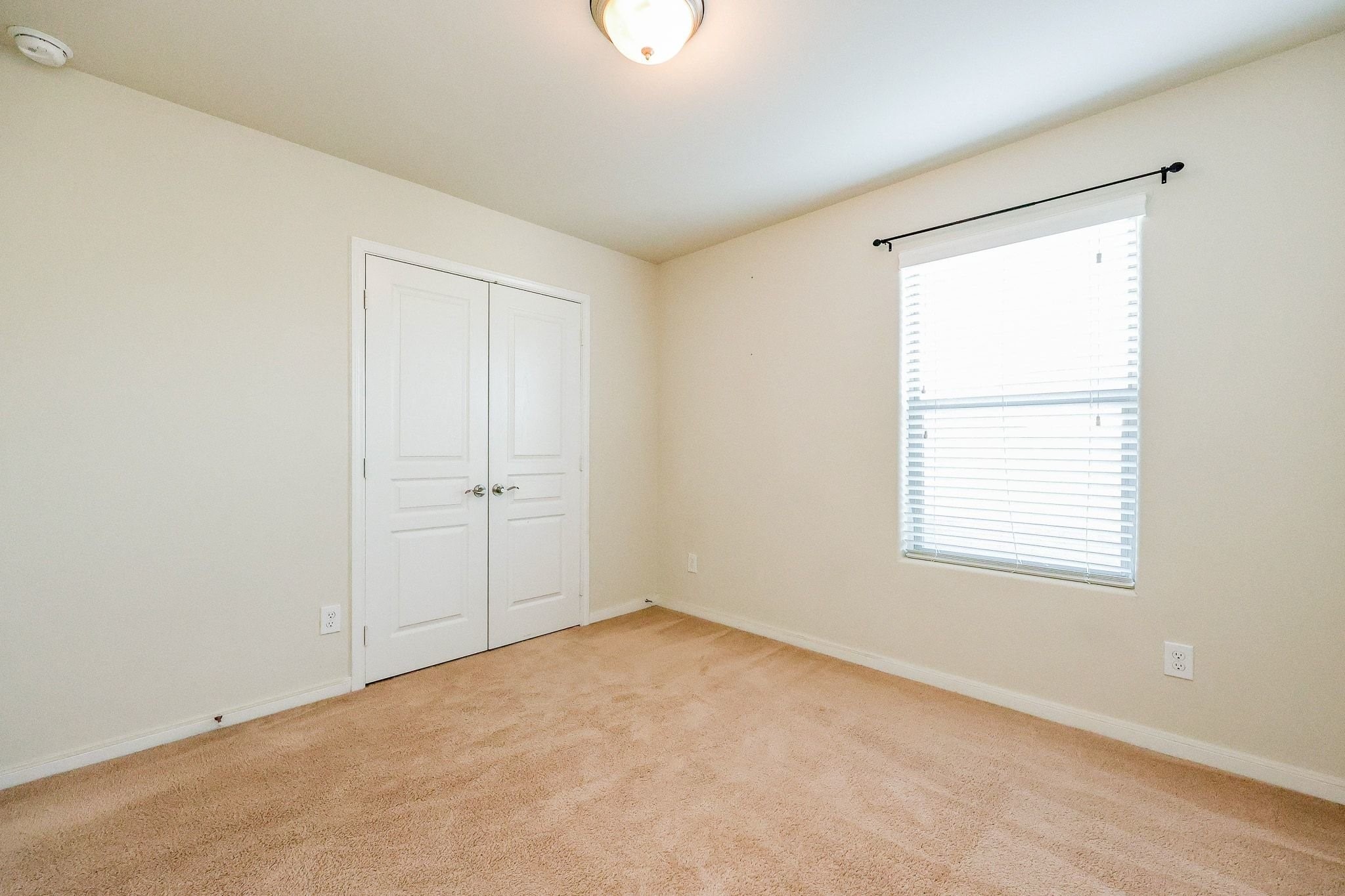20135 Linden Spruce Lane Property Photo 38