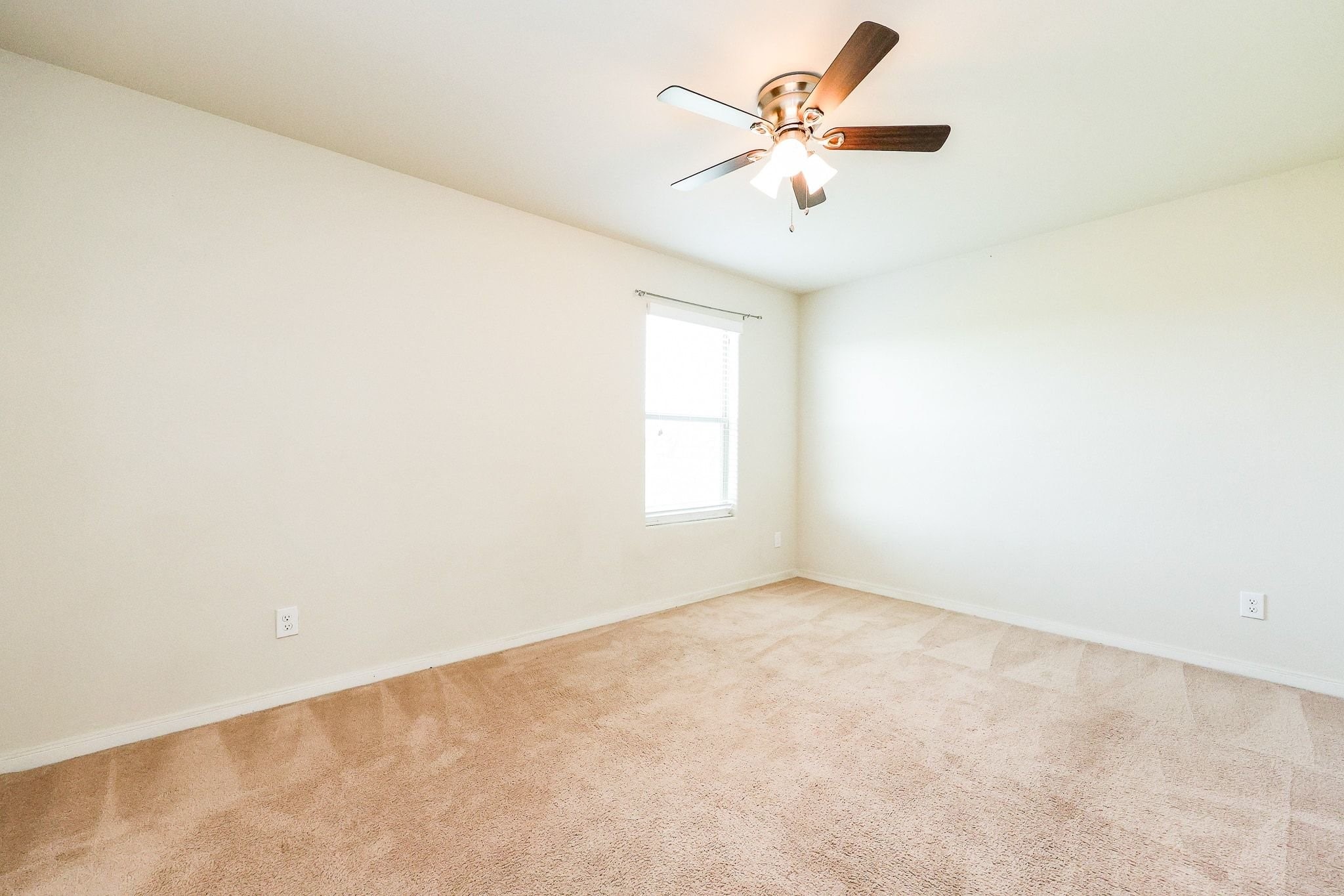 20135 Linden Spruce Lane Property Photo 41