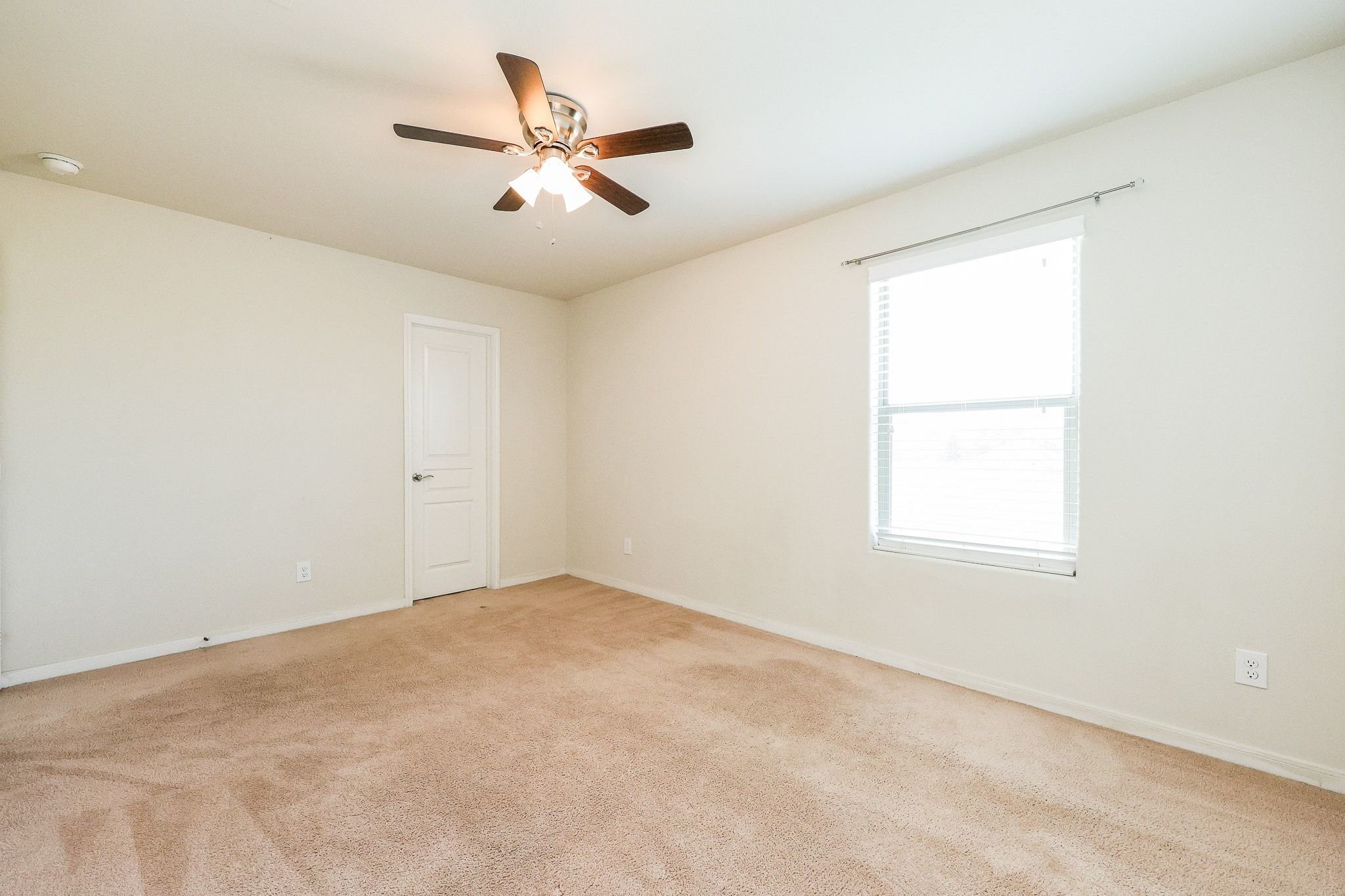 20135 Linden Spruce Lane Property Photo 43